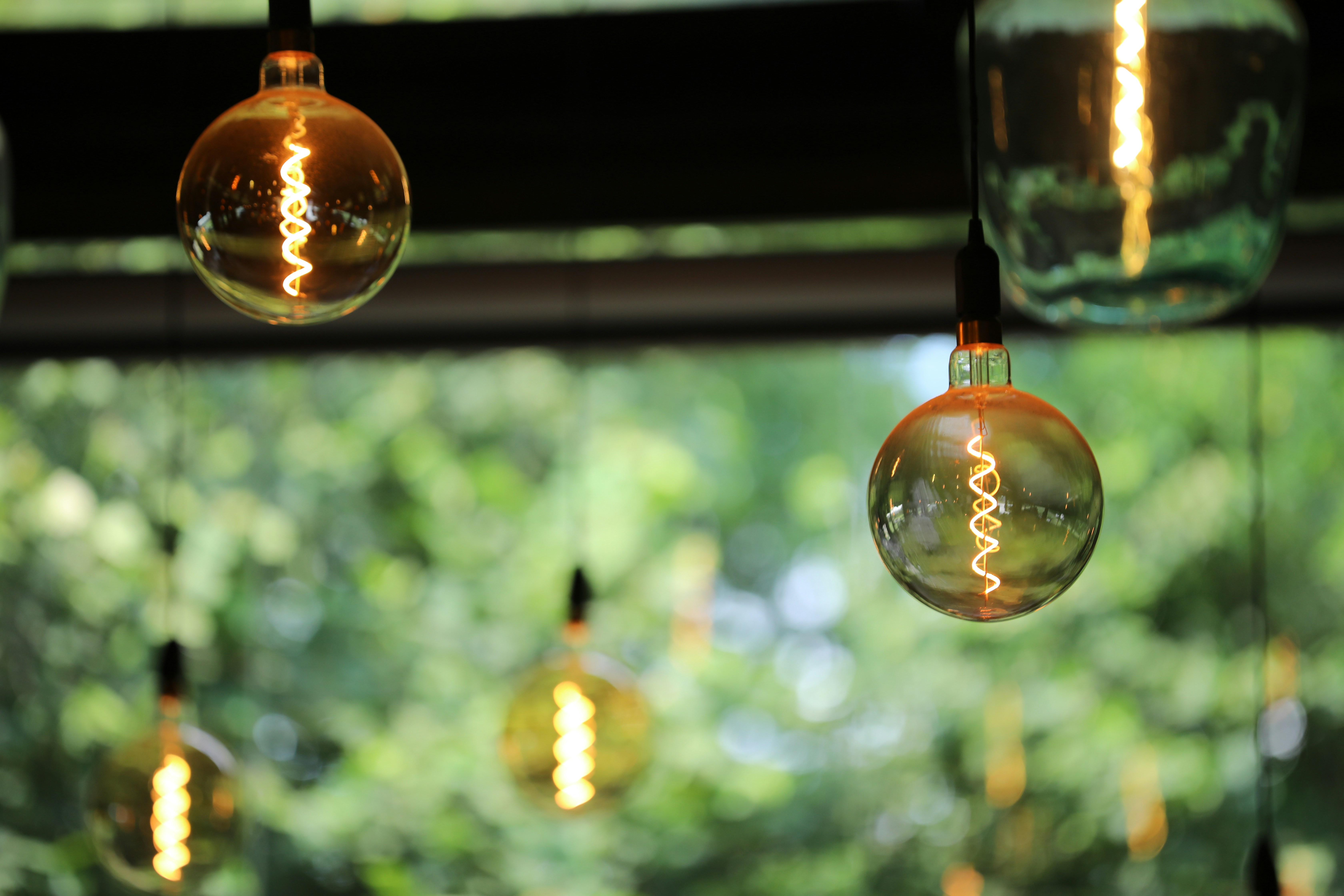 Photo by ovidiugruescu