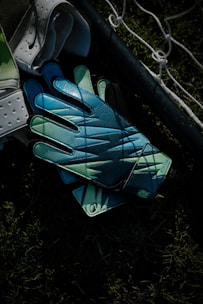 Goalkeeper gloves resting on grass near a net.