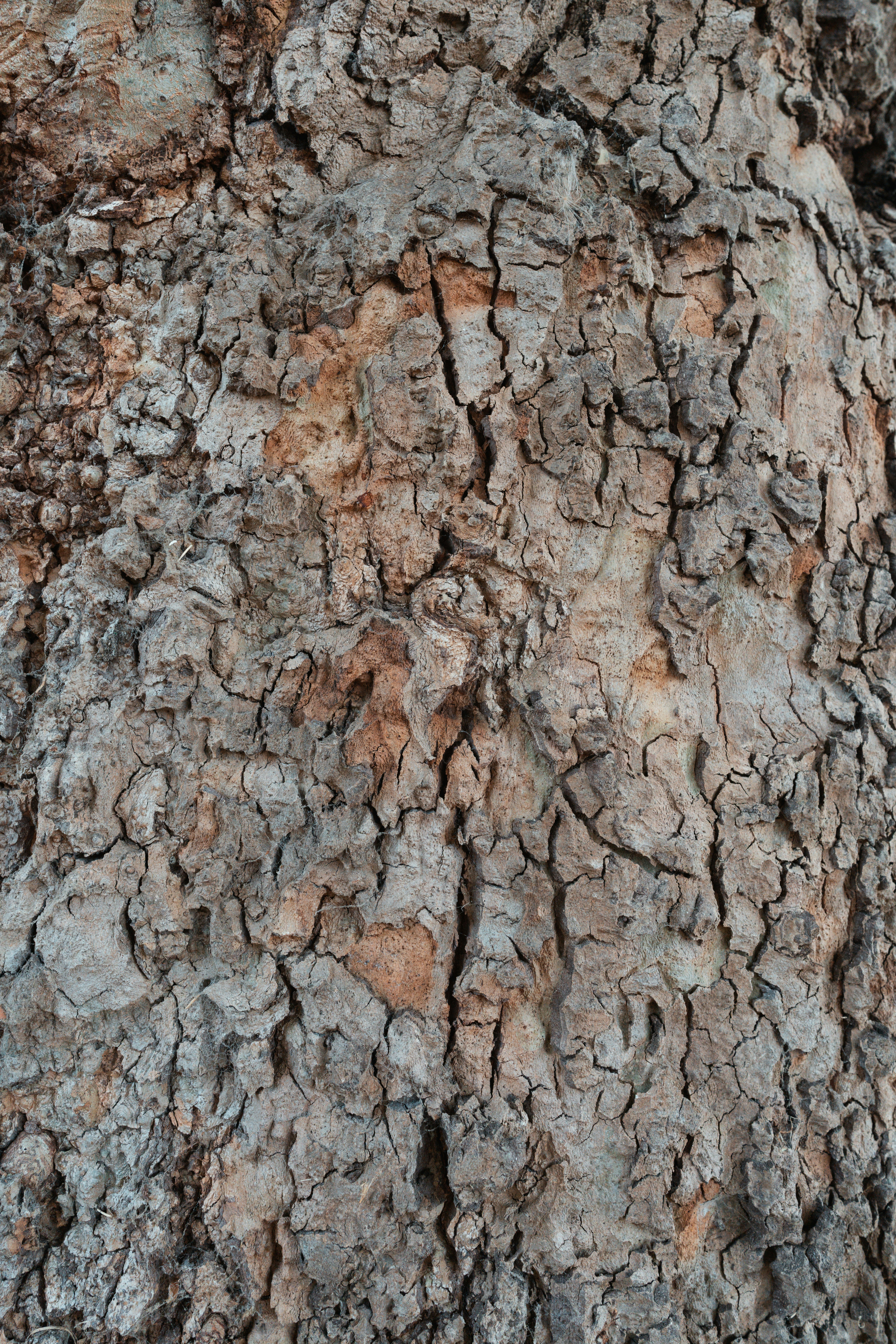 Photo by sophiegerrie