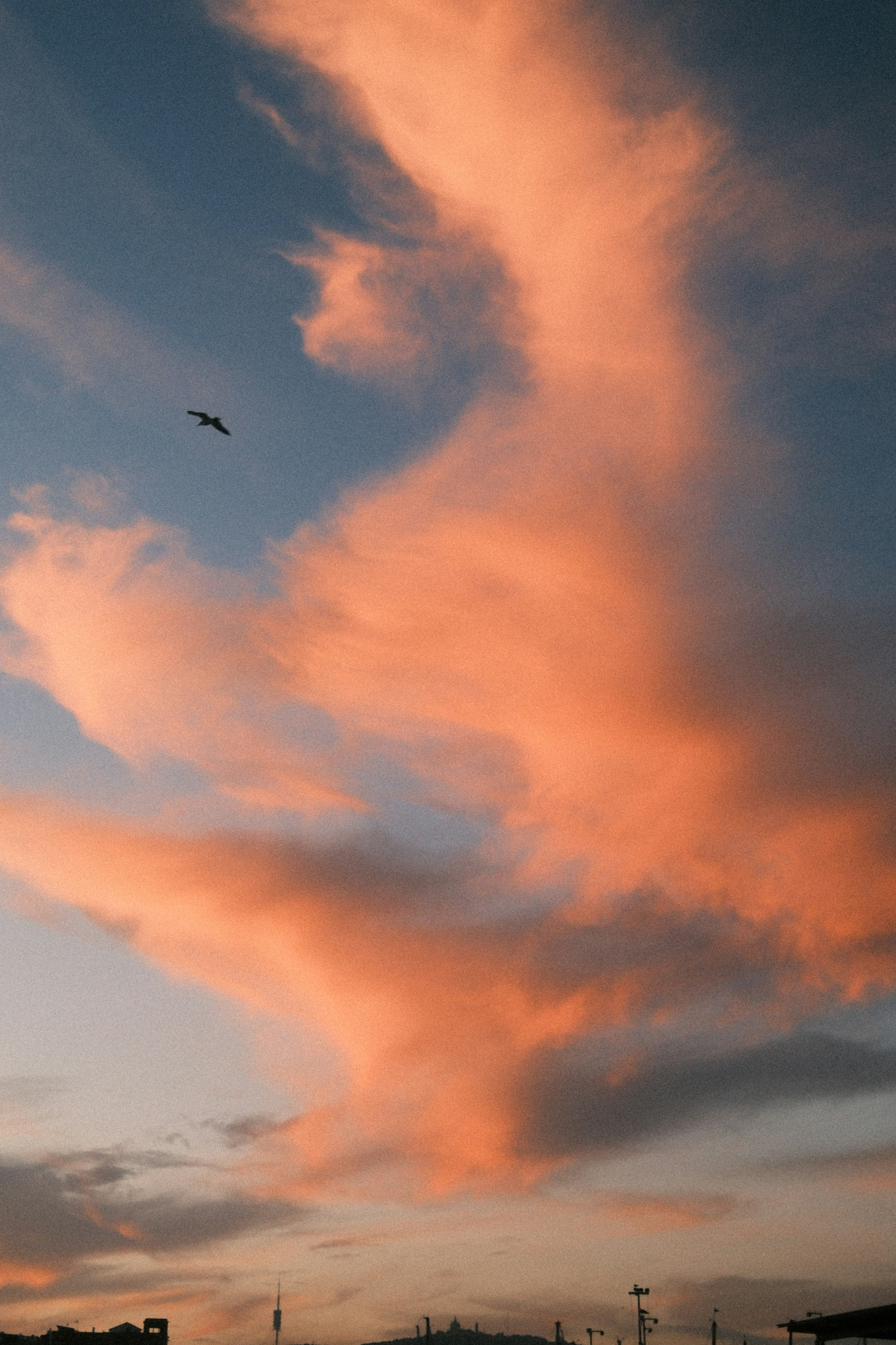 A bird flies through pink clouds at sunset.
