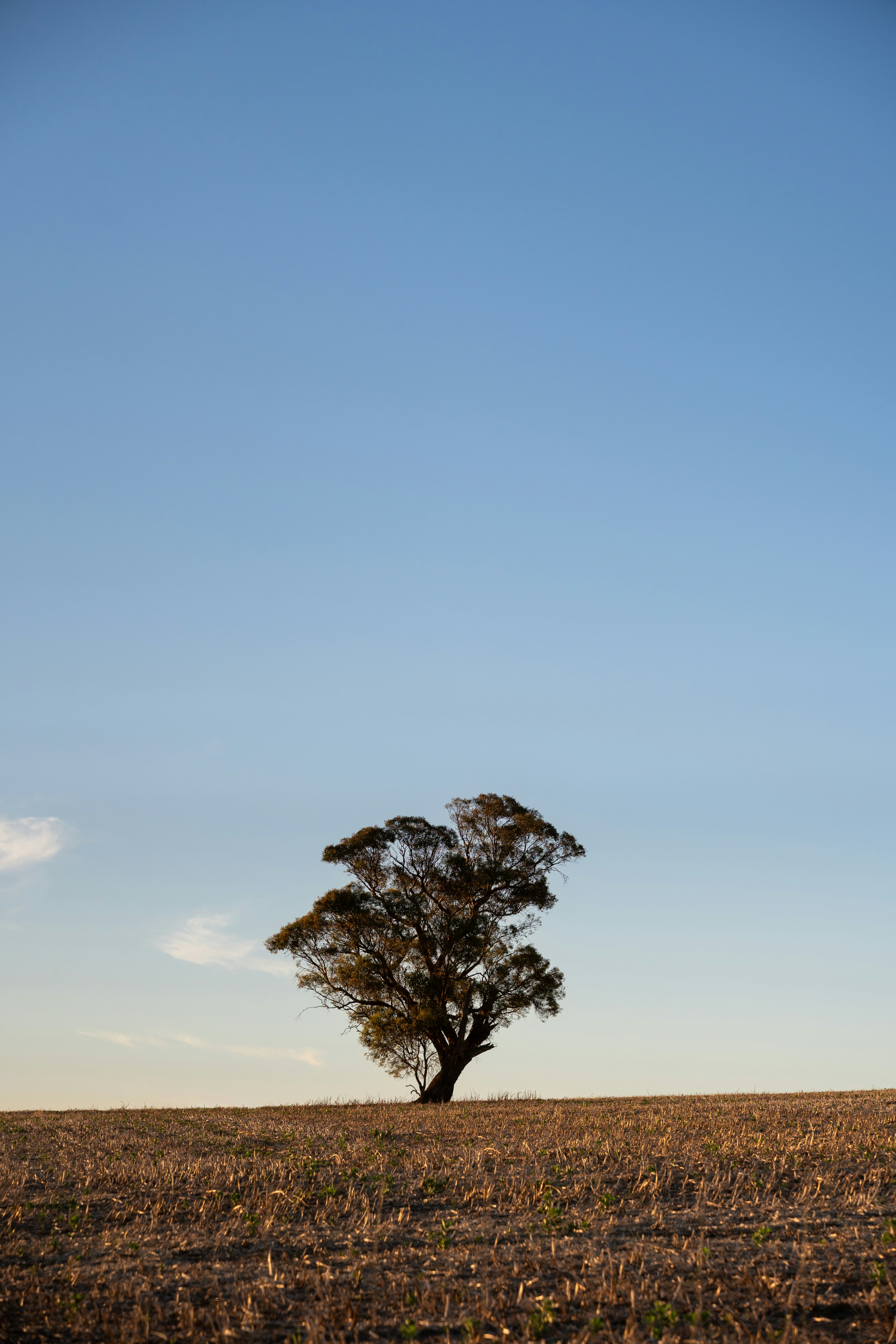 Photo by sophiegerrie