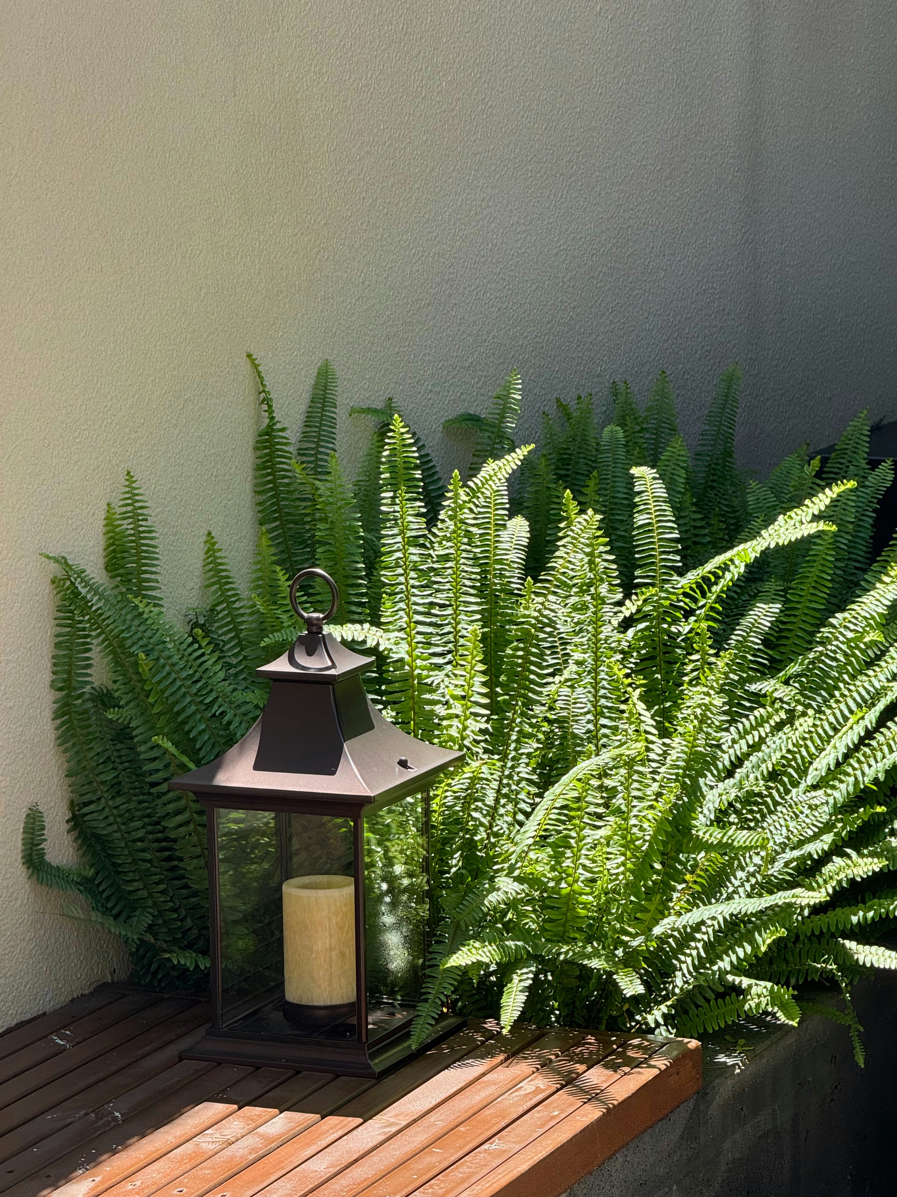 Outdoor application of IP67 LED strip lights in a garden setting