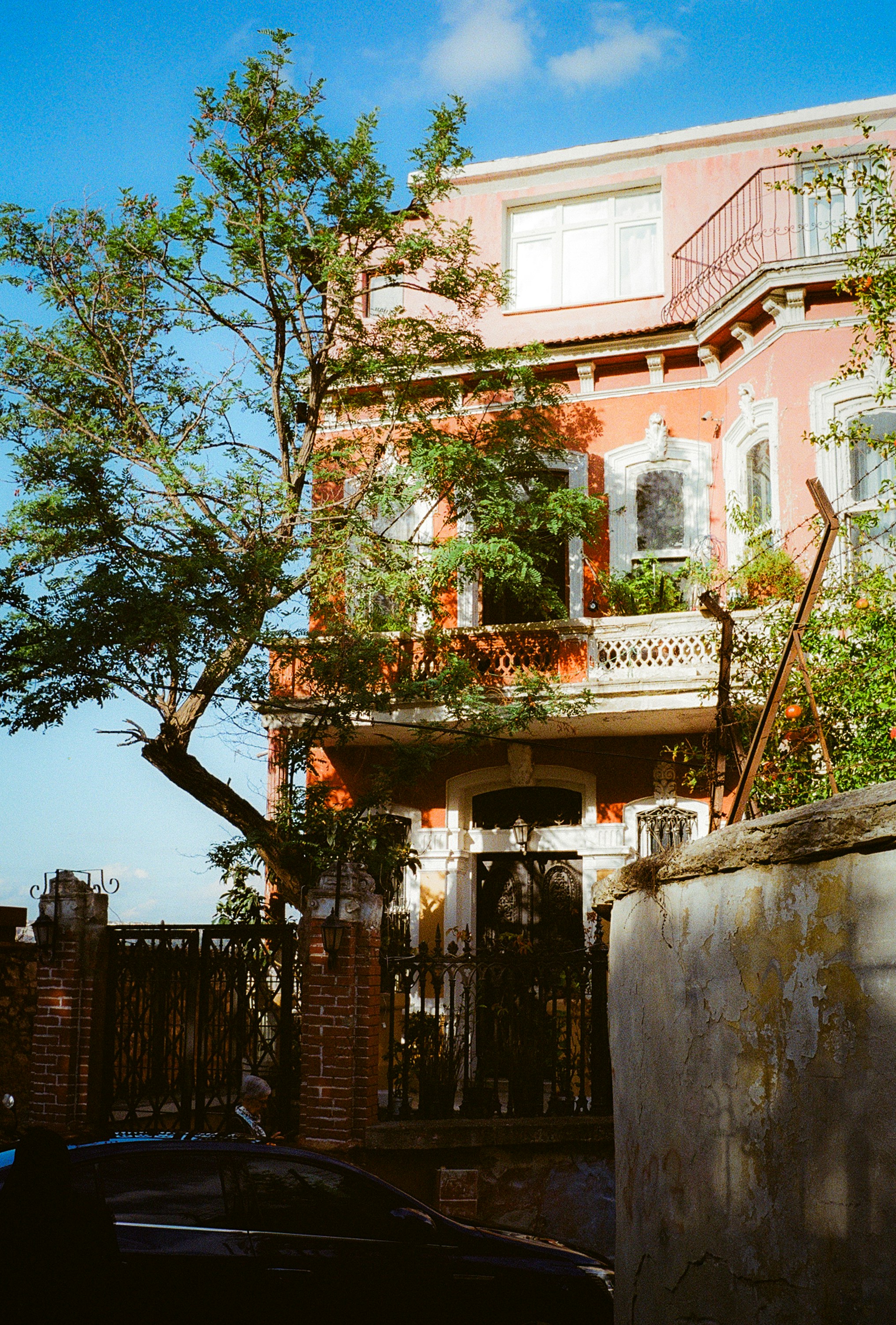 A pink building with a large tree in front.