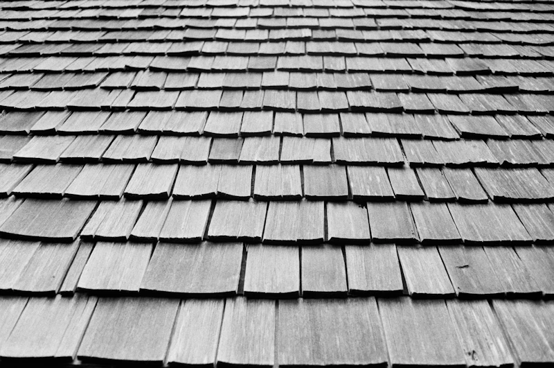Shingle detail