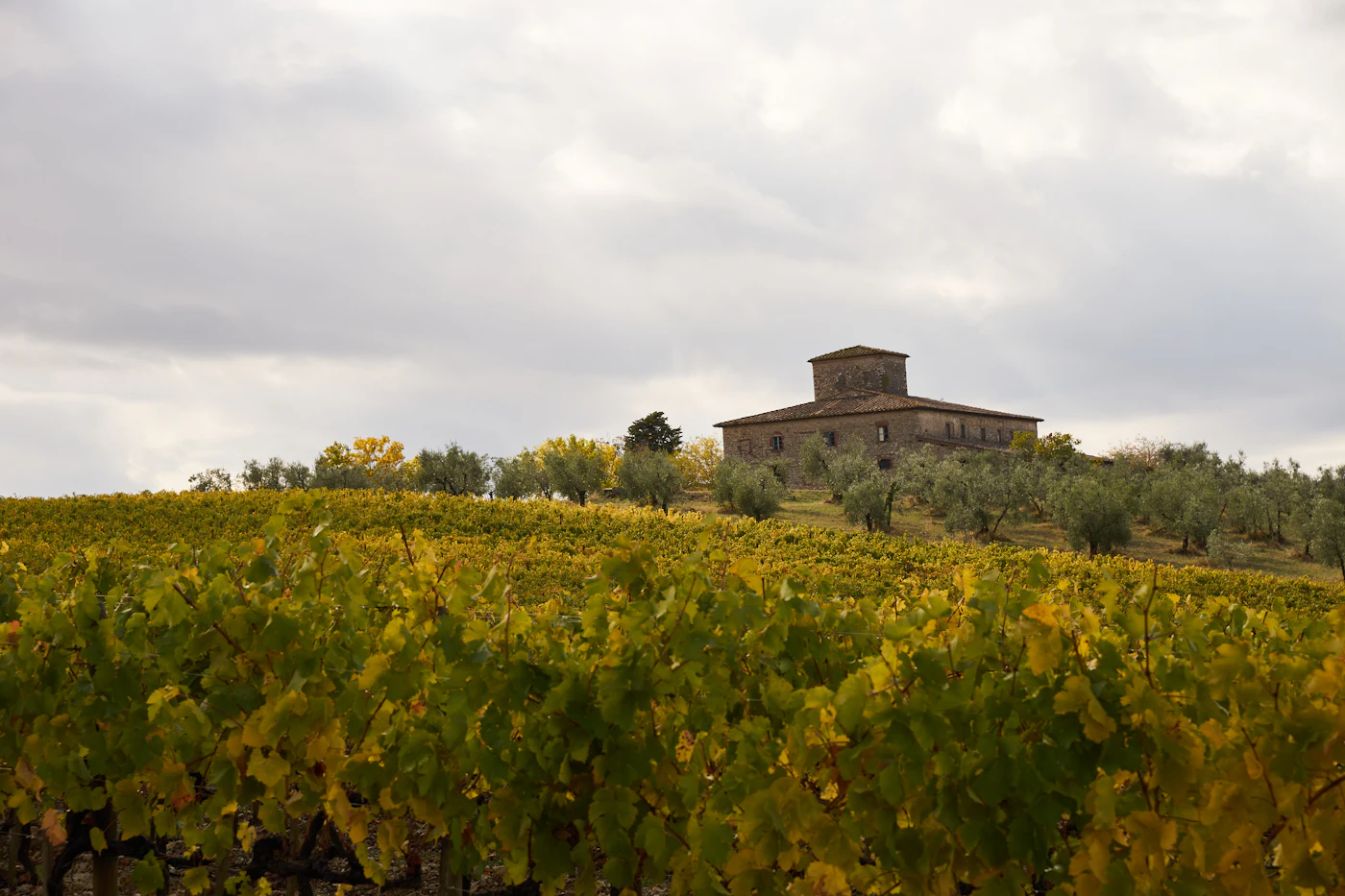 Stone building above a vineyard