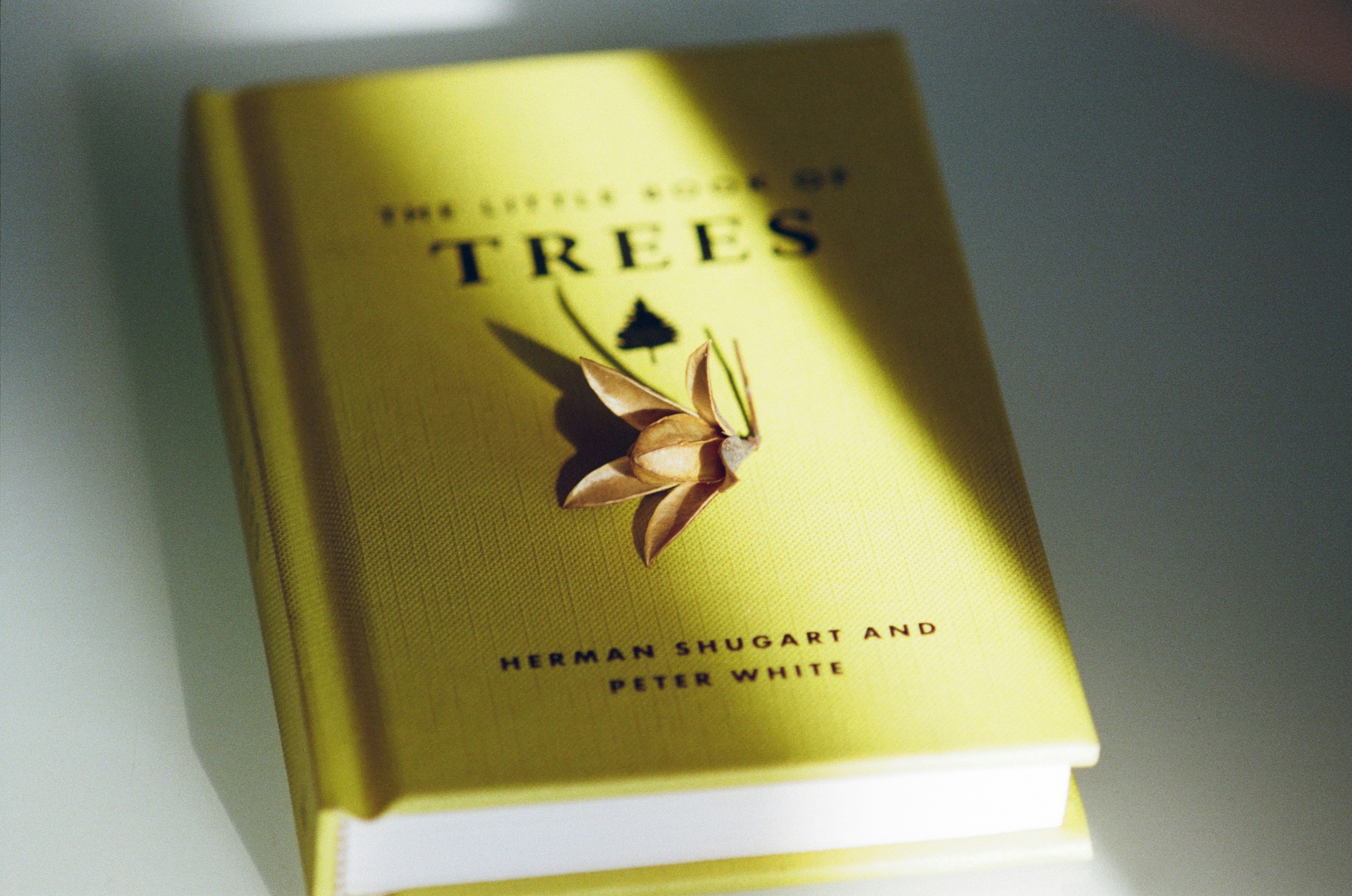 Rastliny a tradícia: Živý archív pre budúcnosť