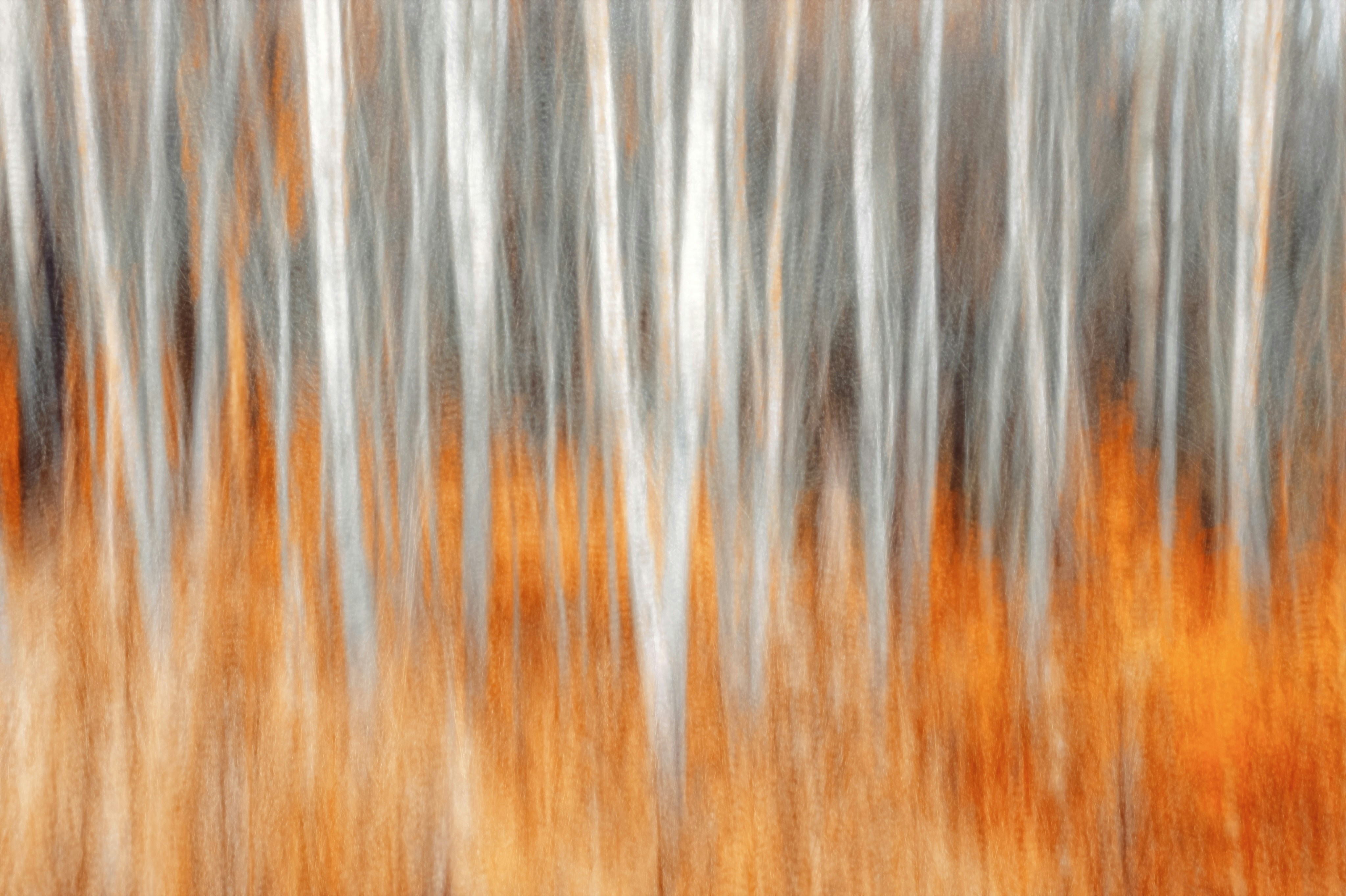 Photo by eugene_golovesov