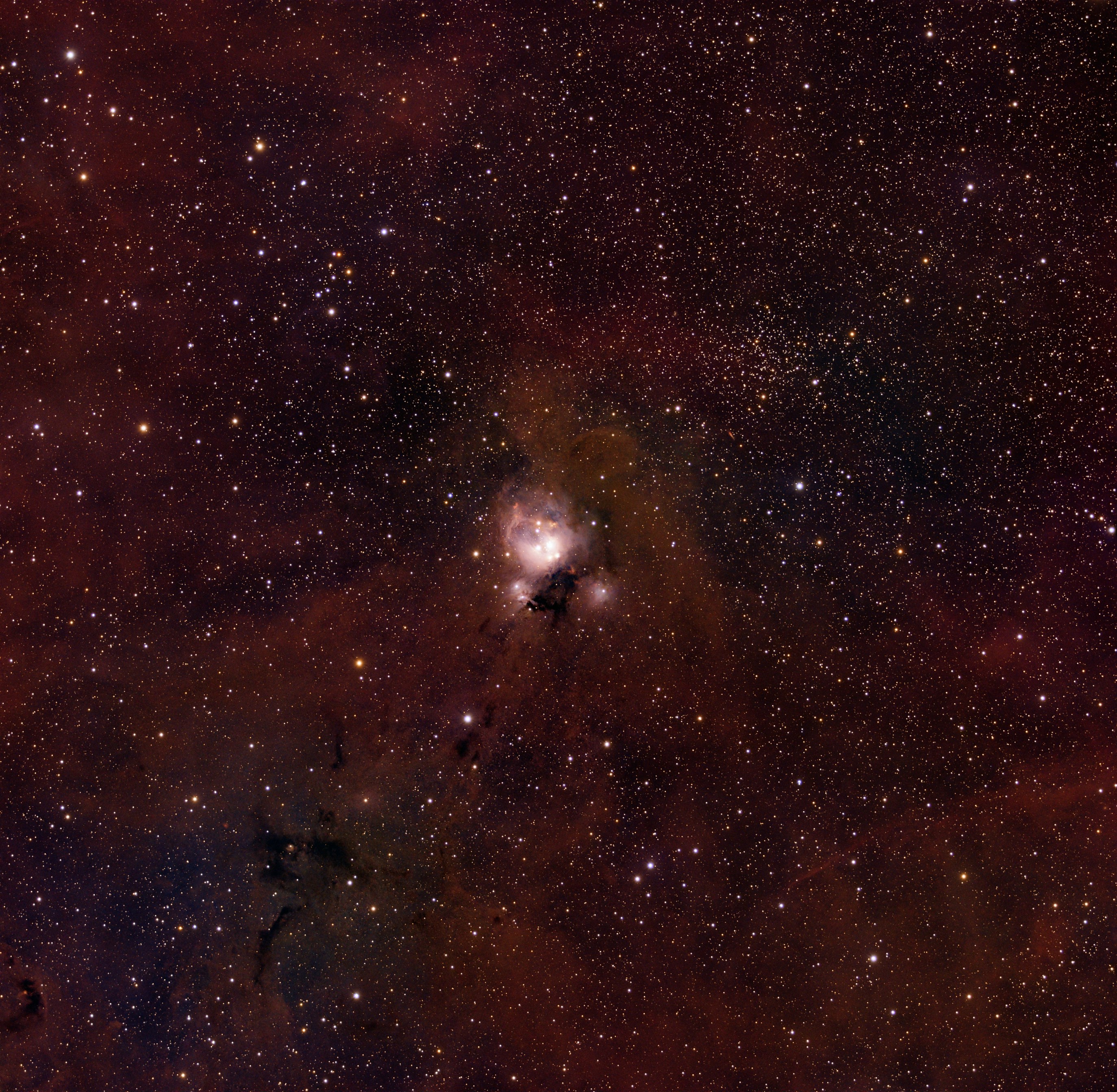 Photo by darkcatimages