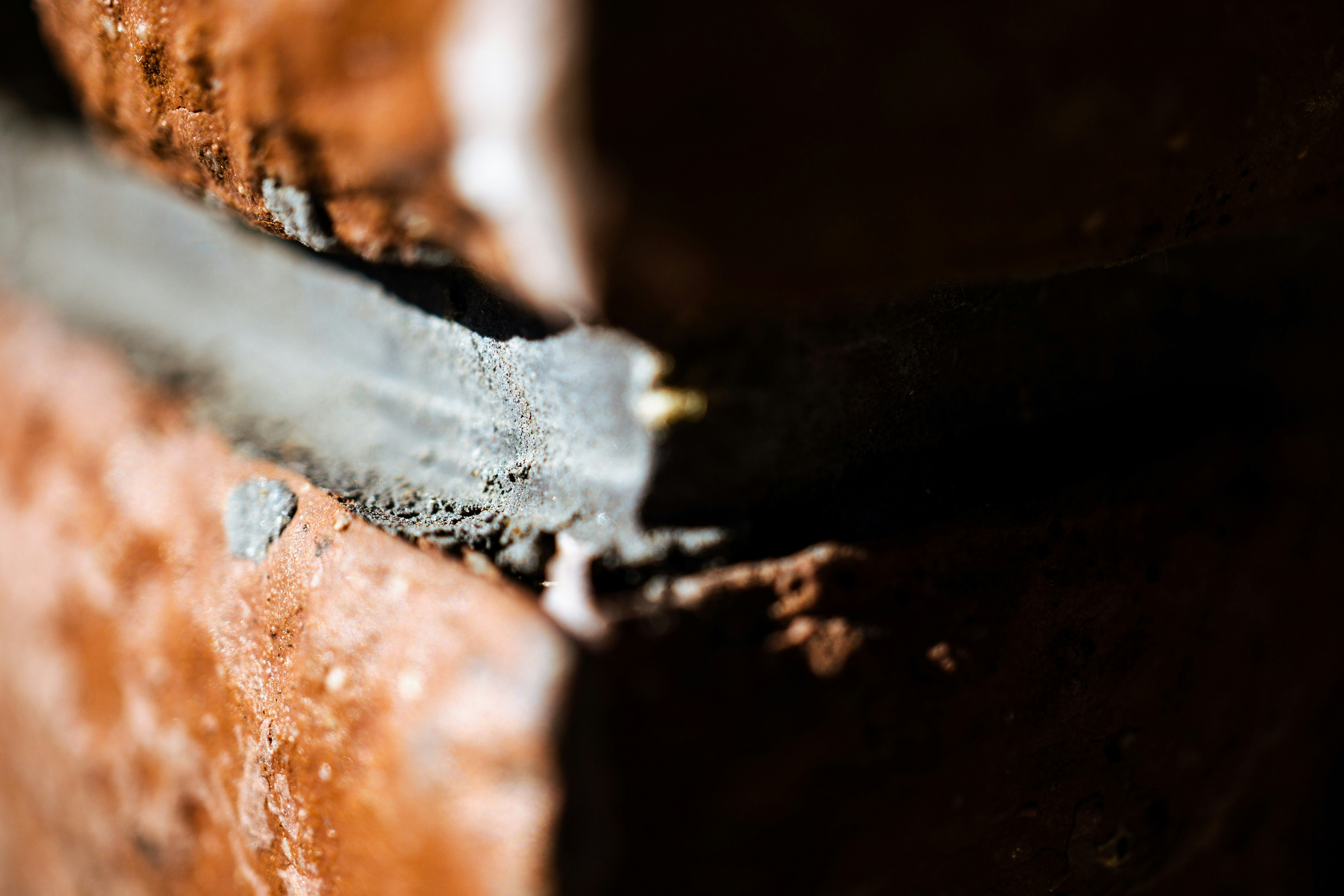 Photo by taiga_miyamoto