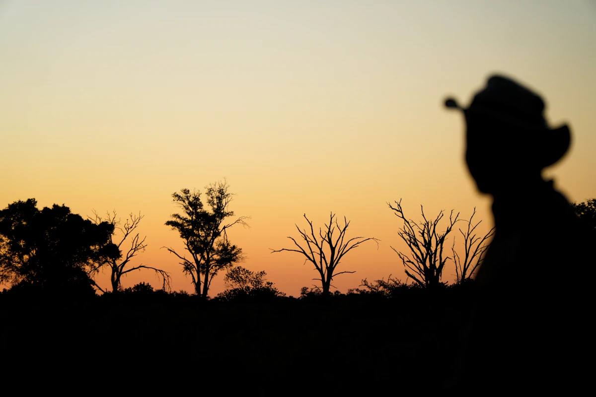 Silhouette of a farmer in a hat against a sunset