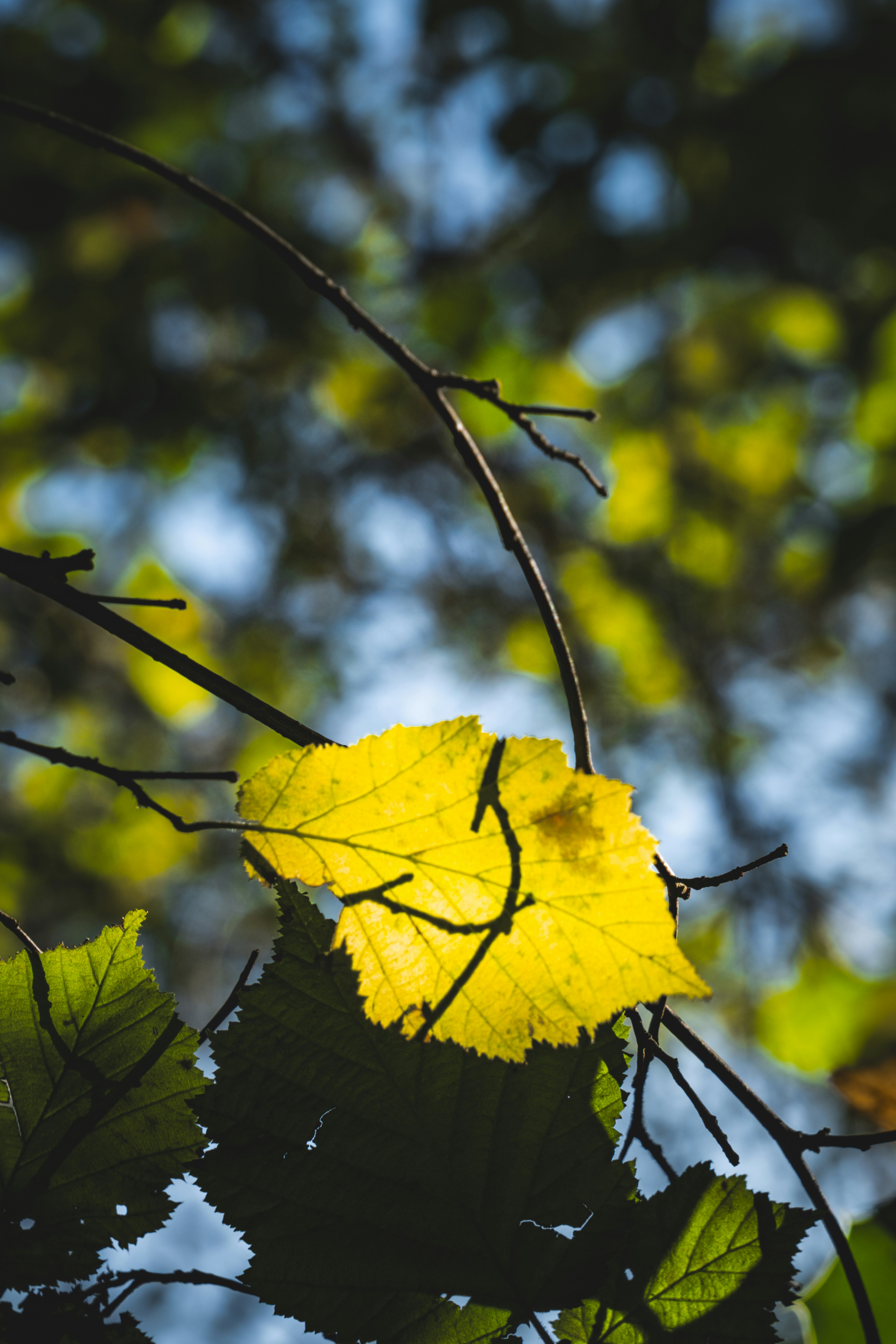 Photo by francesco_ungaro