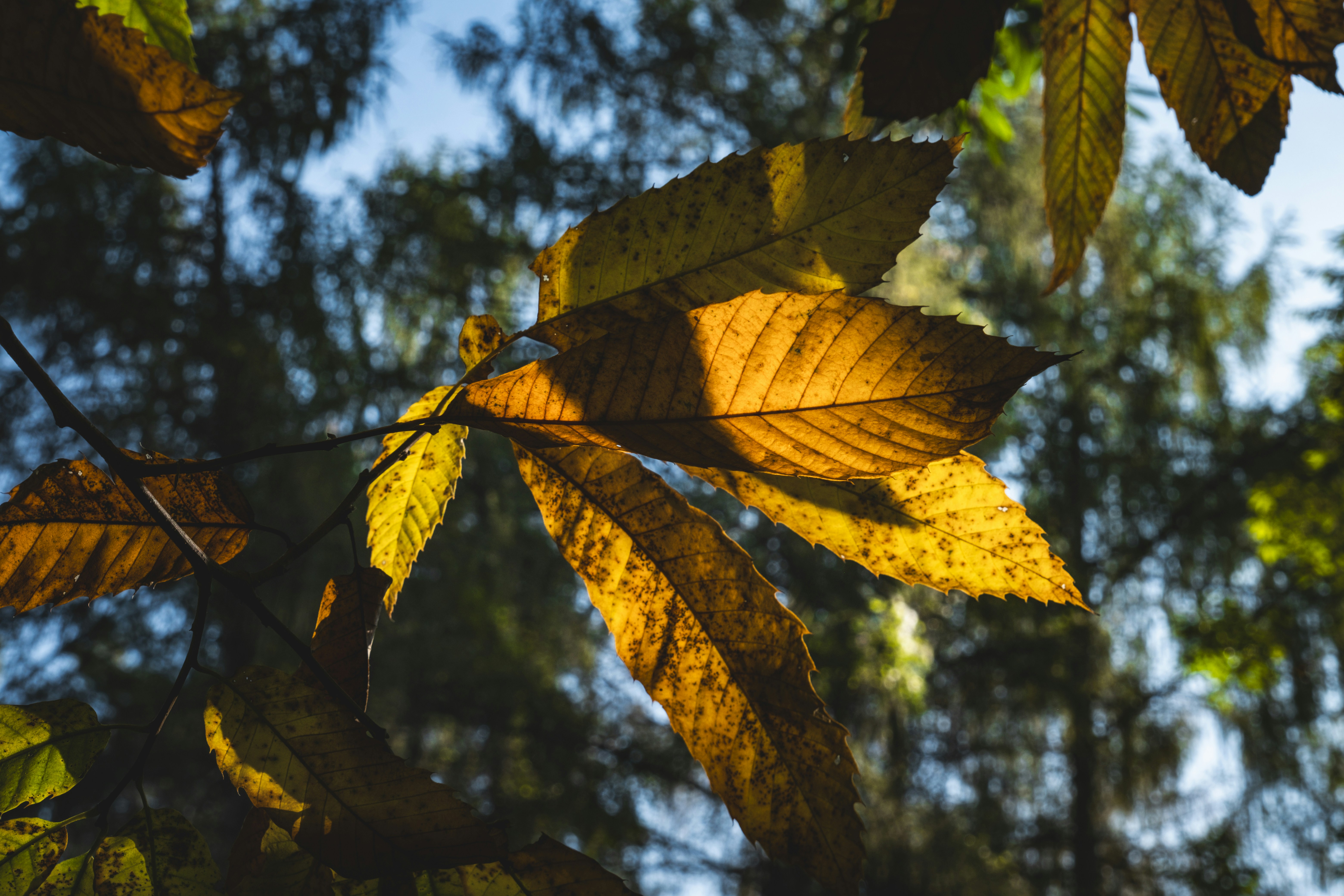 Photo by francesco_ungaro