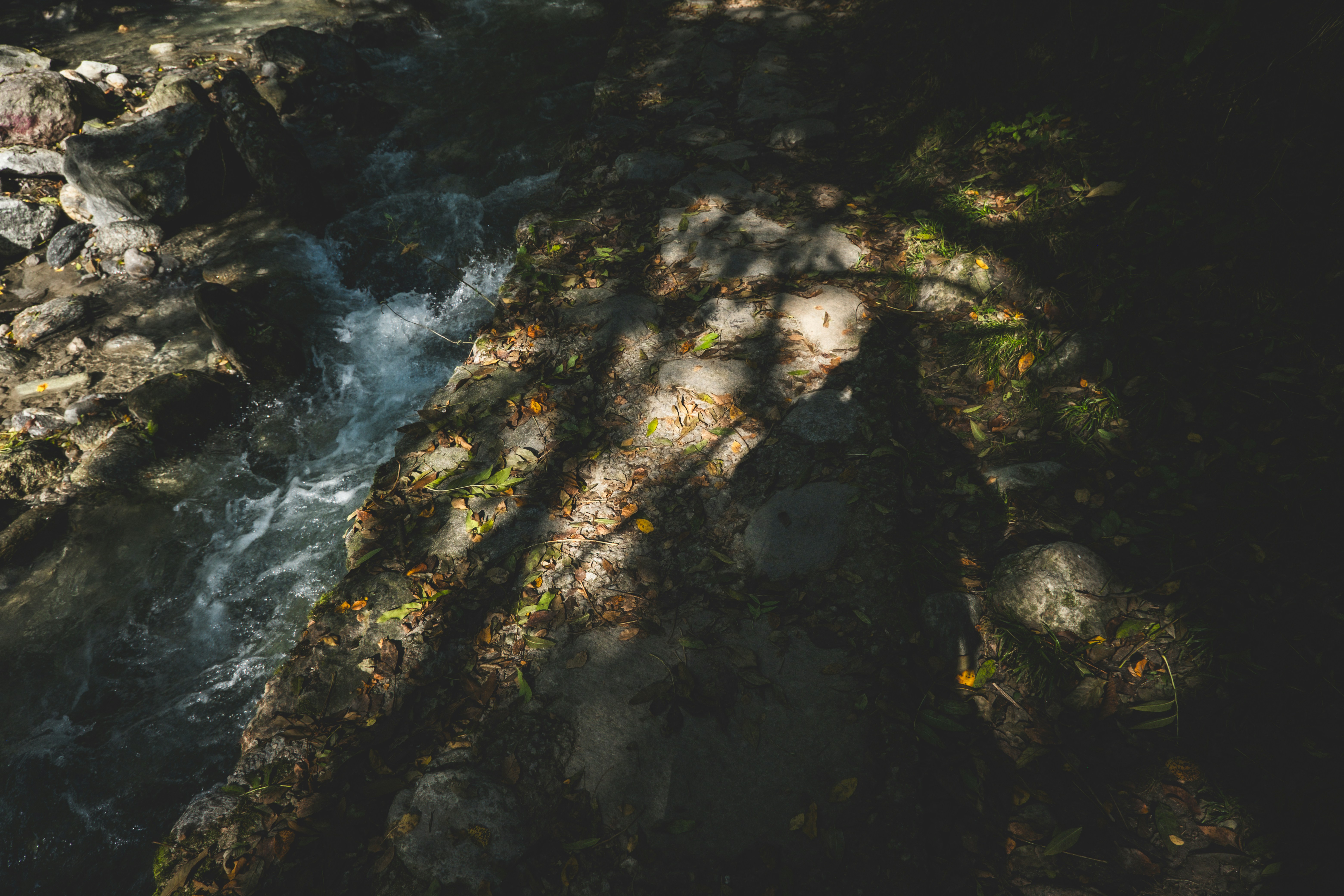 Photo by francesco_ungaro