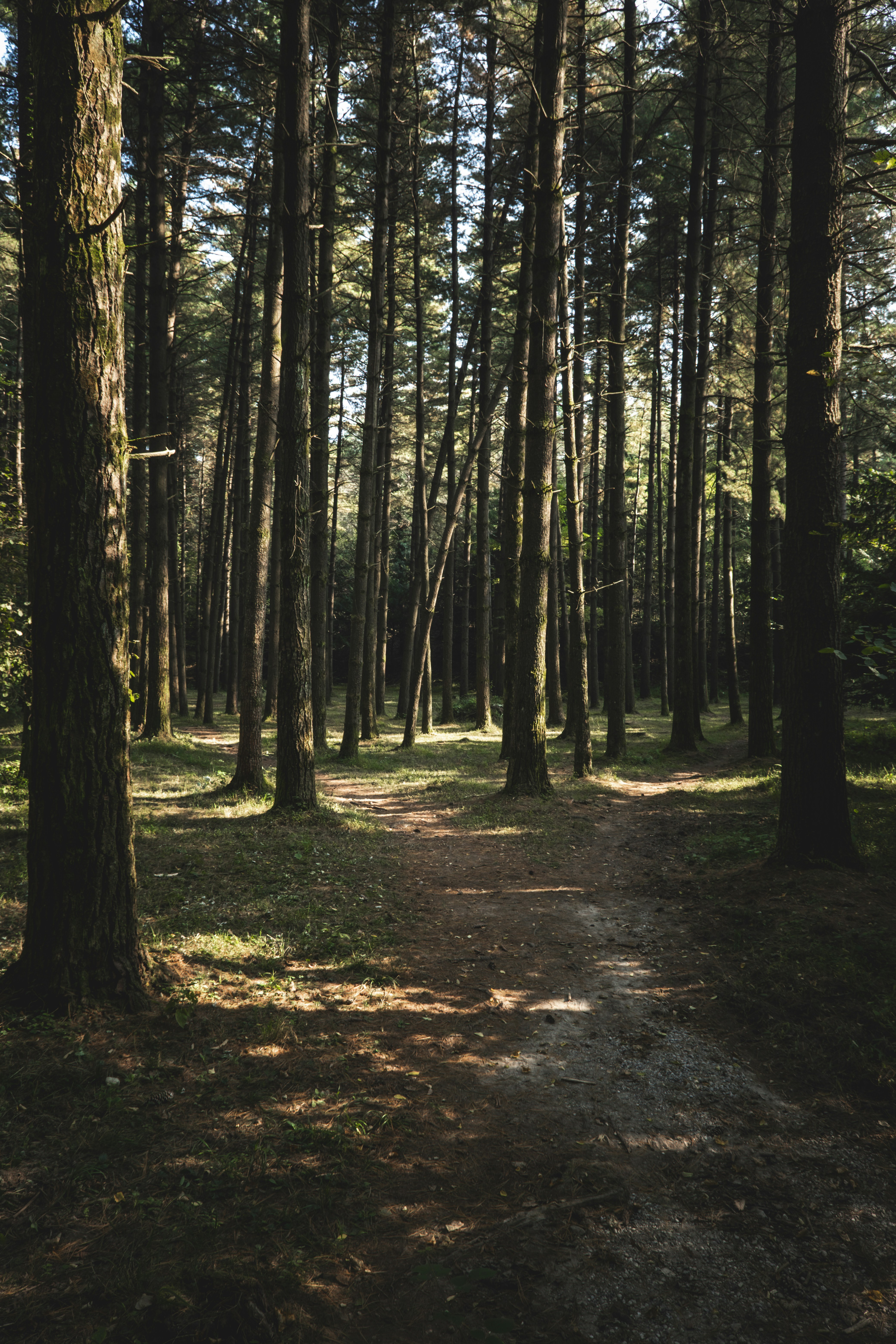 Photo by francesco_ungaro