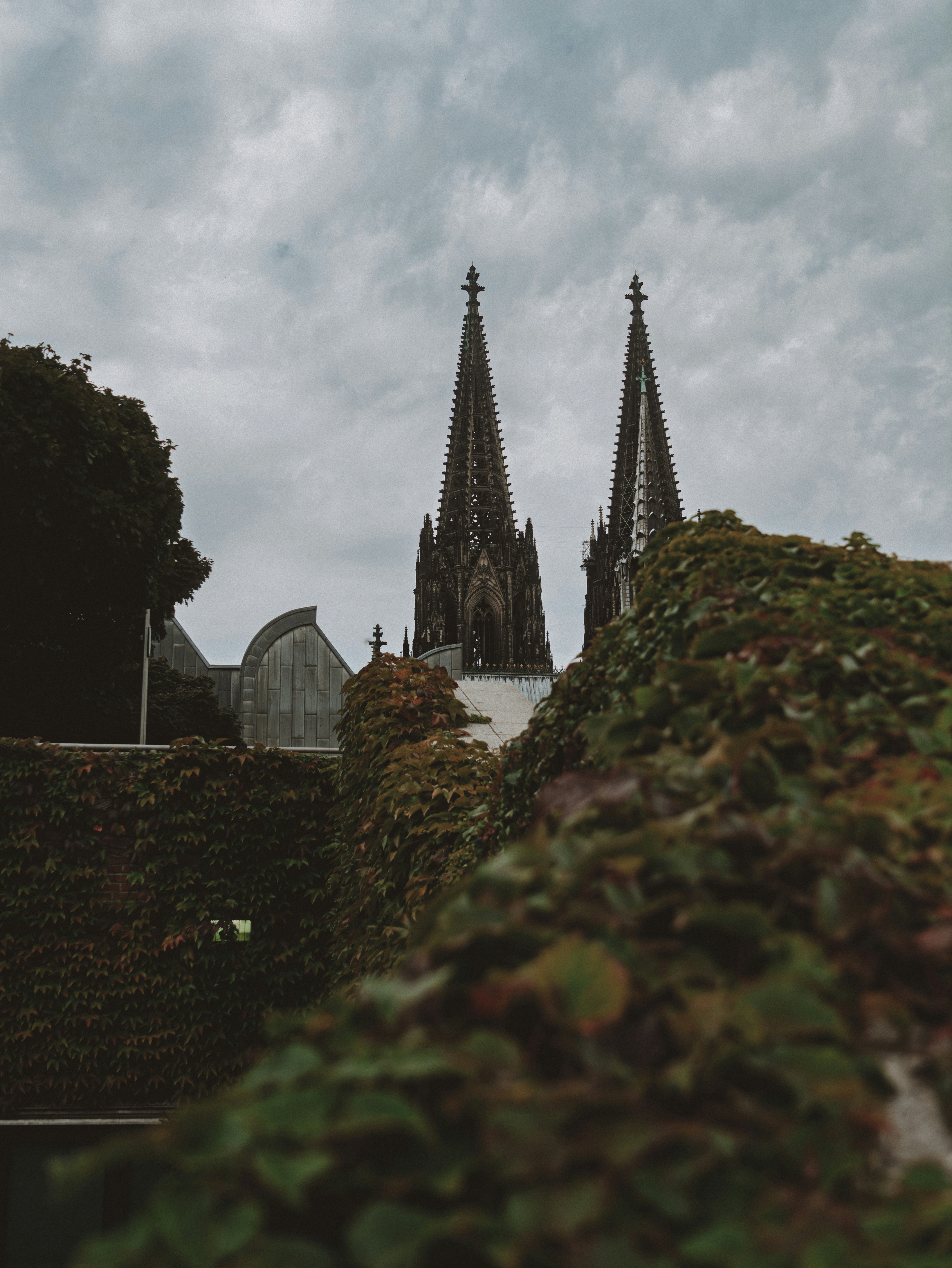 Gothic cathedral spires rise above ivy-covered walls.
