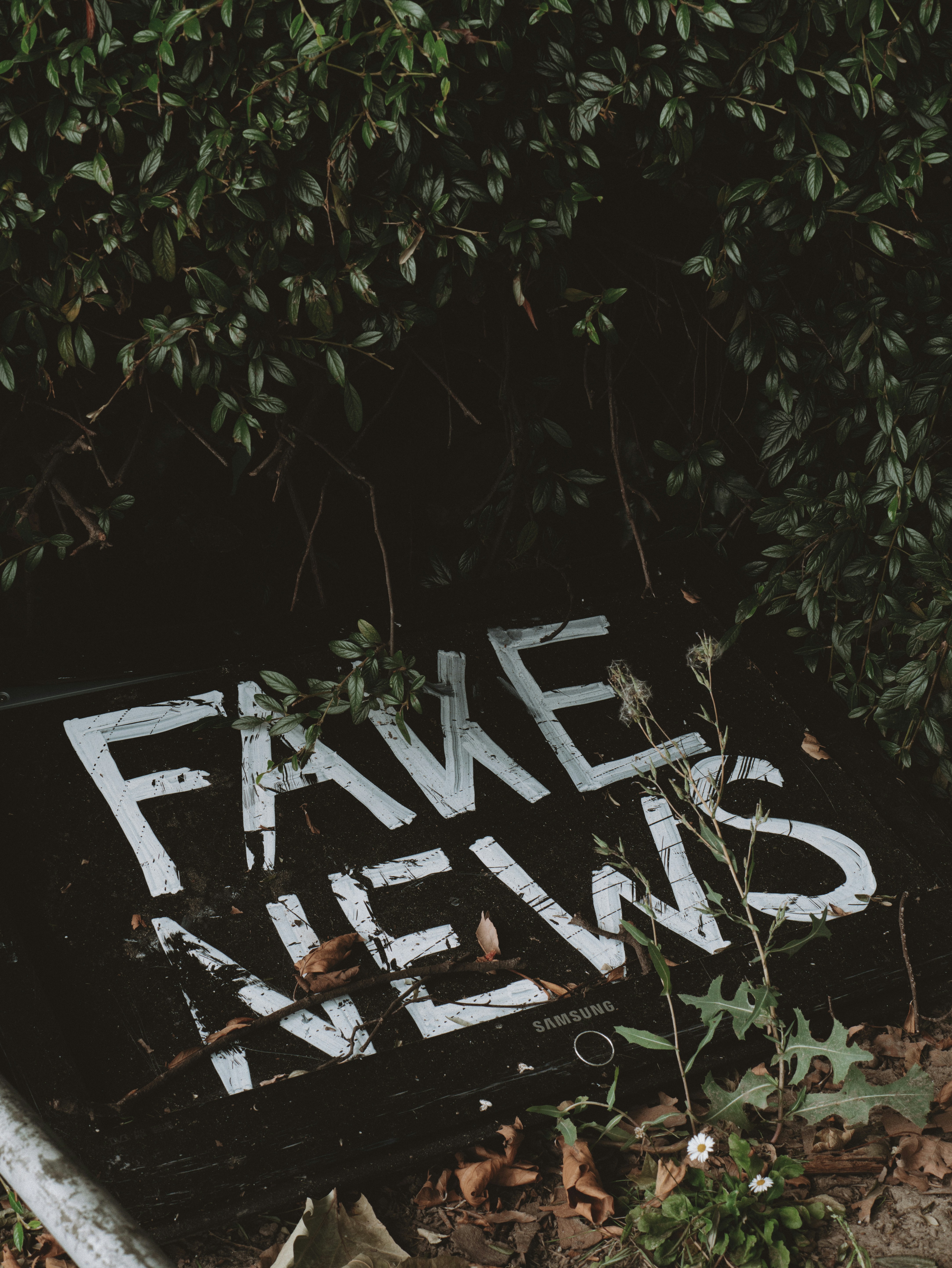 photo-1760201797006-b4de6ebc823b?ixid=M3wxMjA3fDB8MXxzZWFyY2h8Mnx8dmFuJTIwbmV3c3xlbnwwfHx8fDE3NjU2MTk3MjB8MA\u0026ixlib=rb-4.1.0