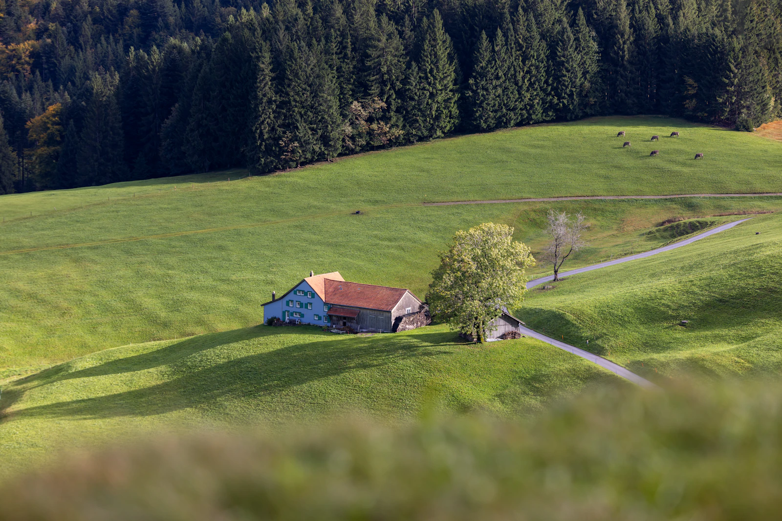 A farmhouse set into rolling green hills with a wooded ridge behind it, illustrating a homesite with a protected outlook