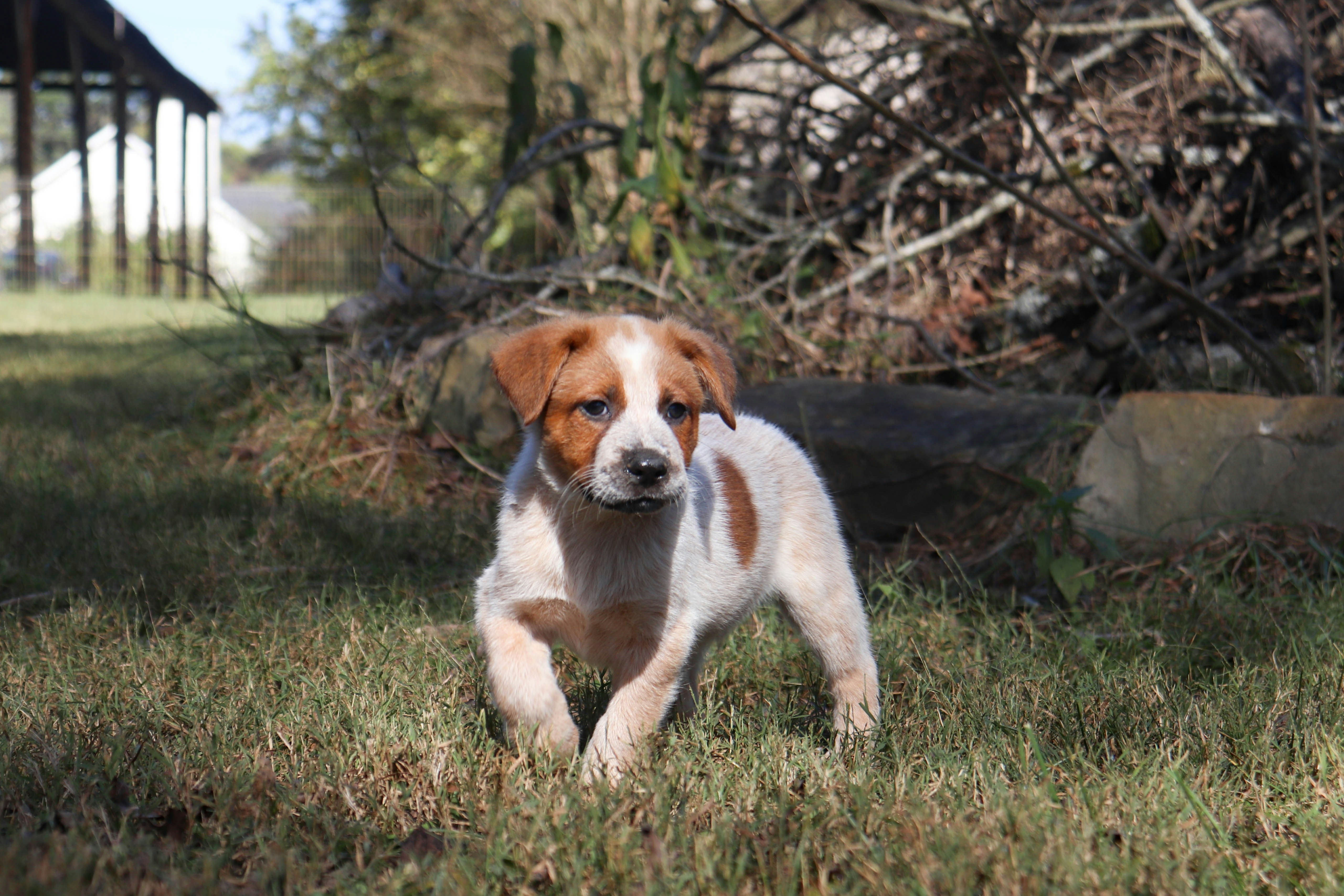 Photo by lroberts067