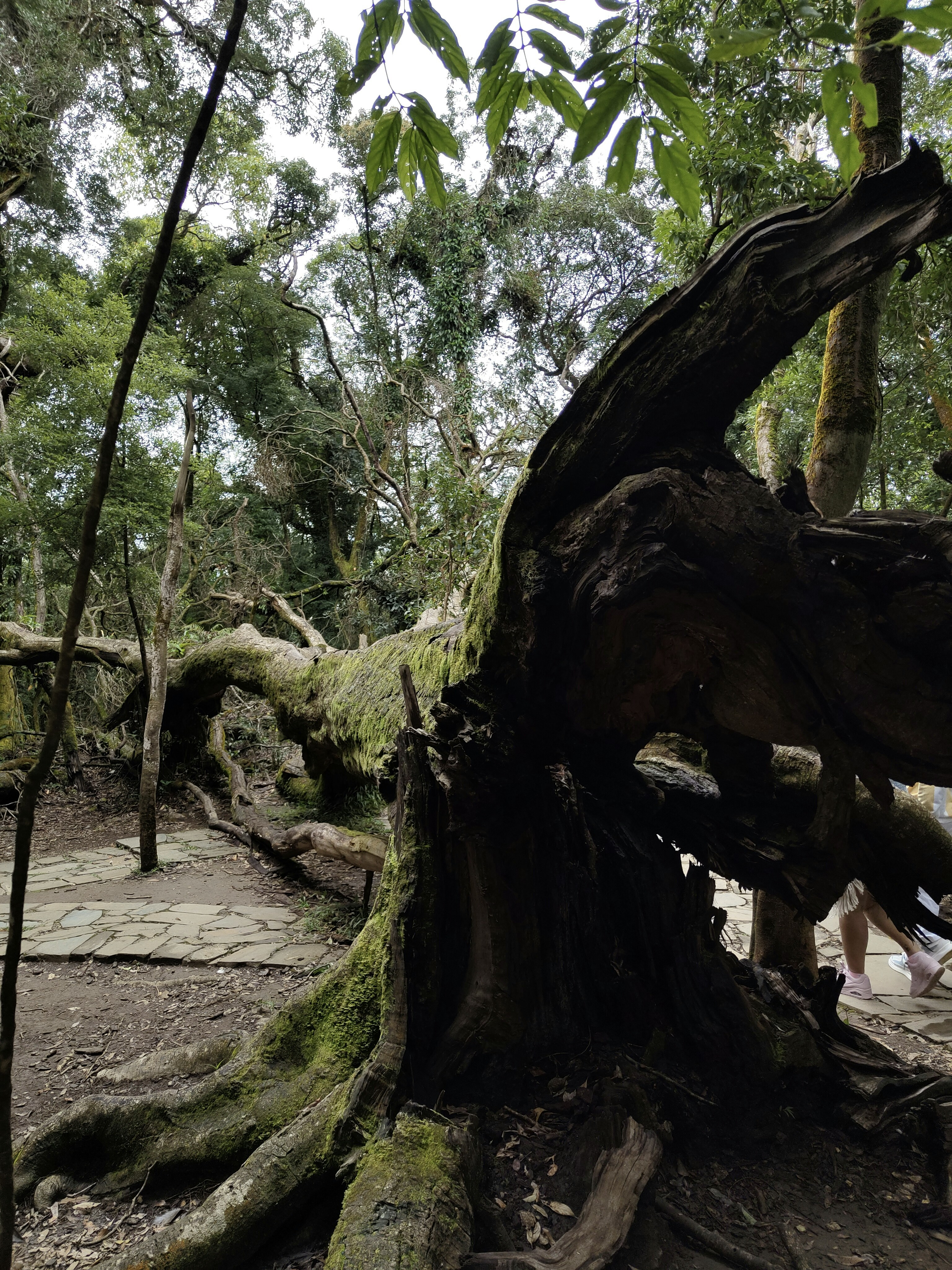 meghalaya4