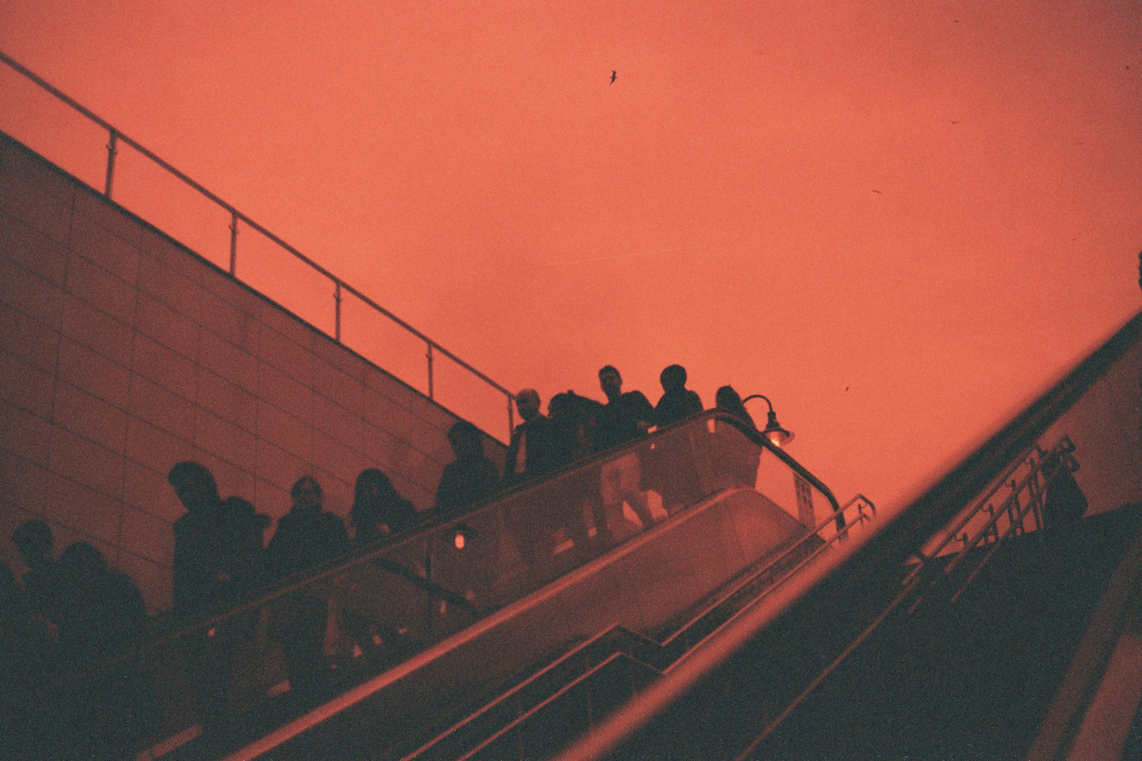 Silhouettes of people on escalators under red light.