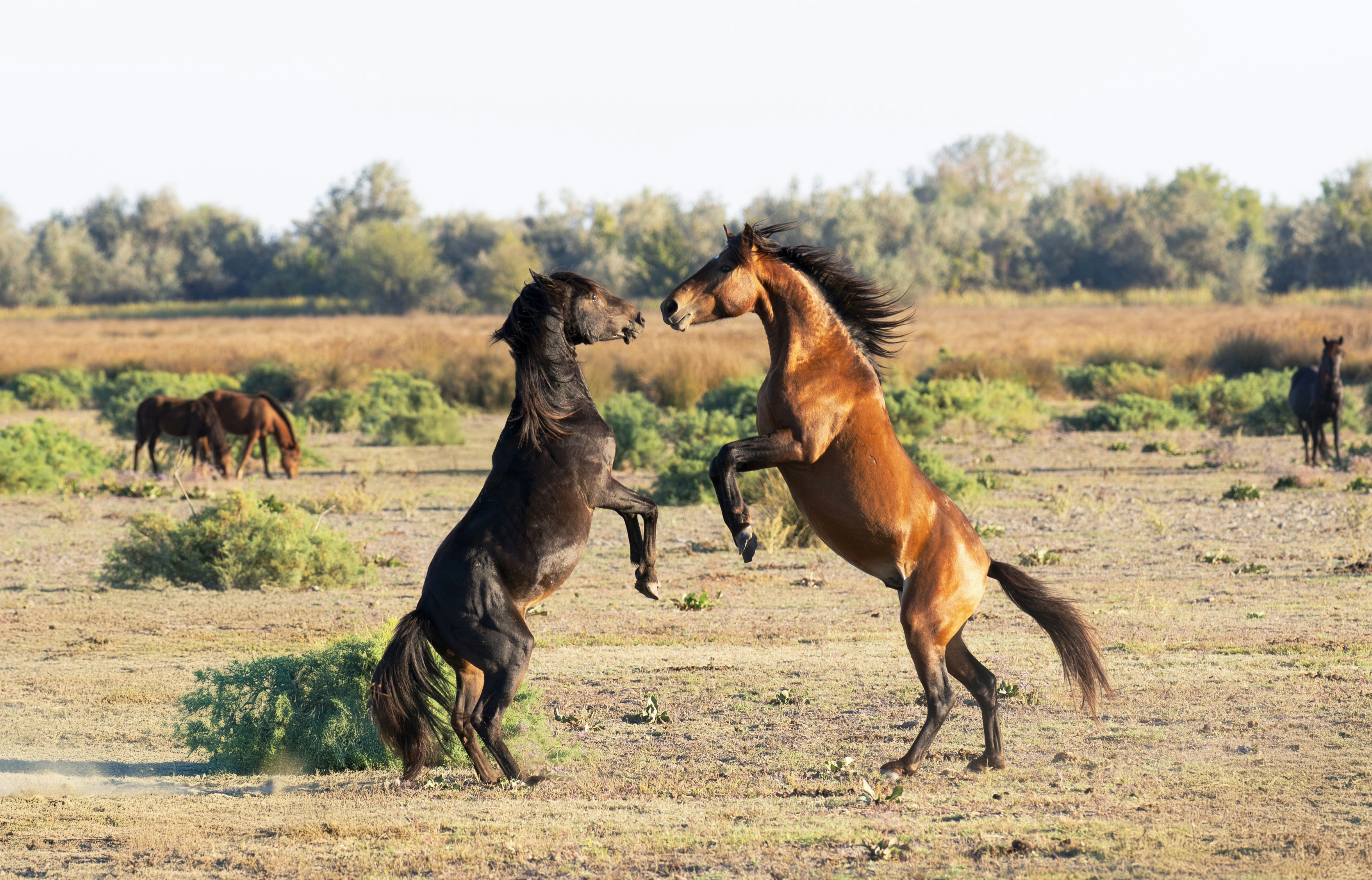 Chockerande avslöjanden från tonårsföretaget: Anställda rasar!