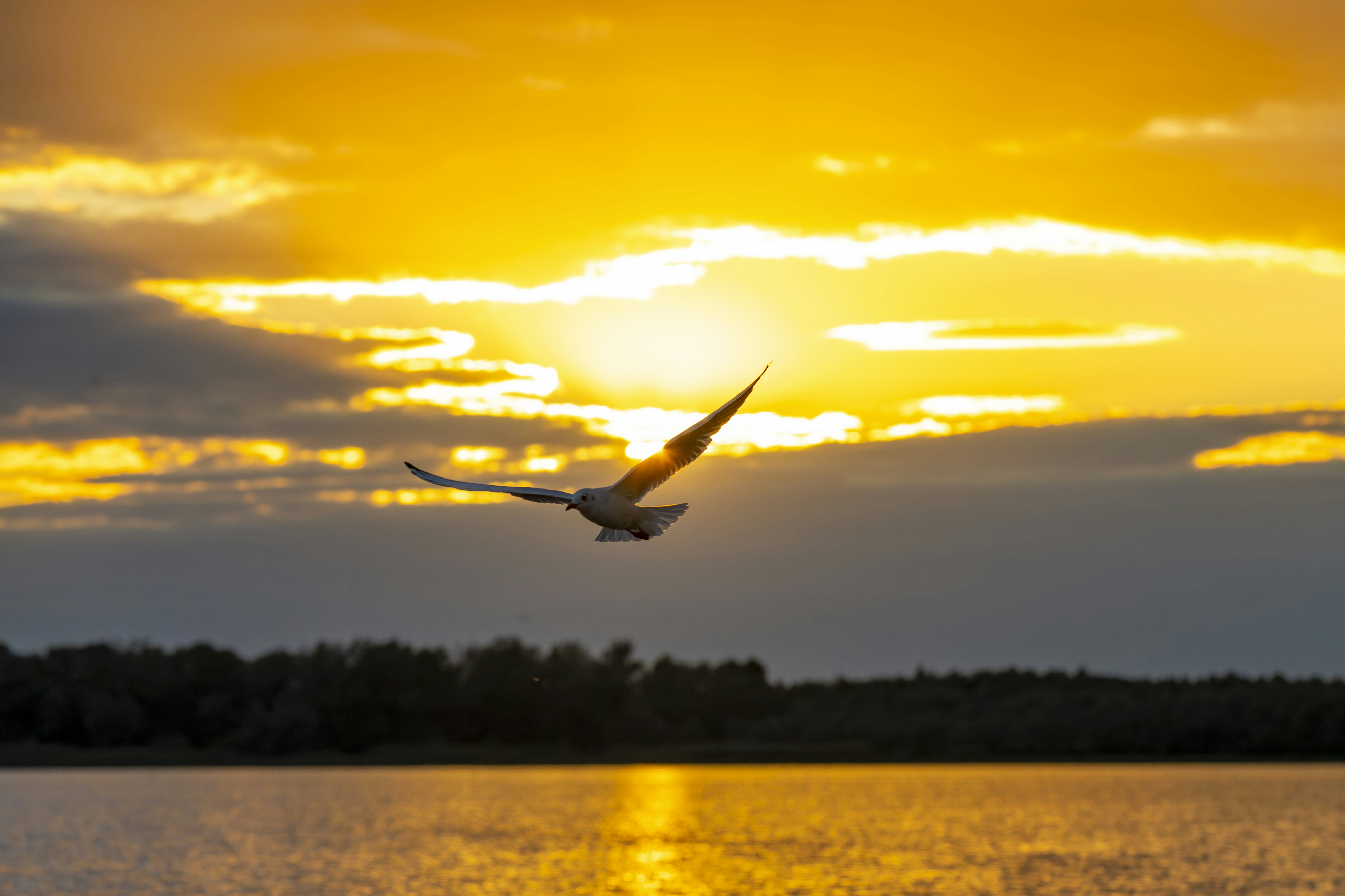 Photo by strinoiumarian