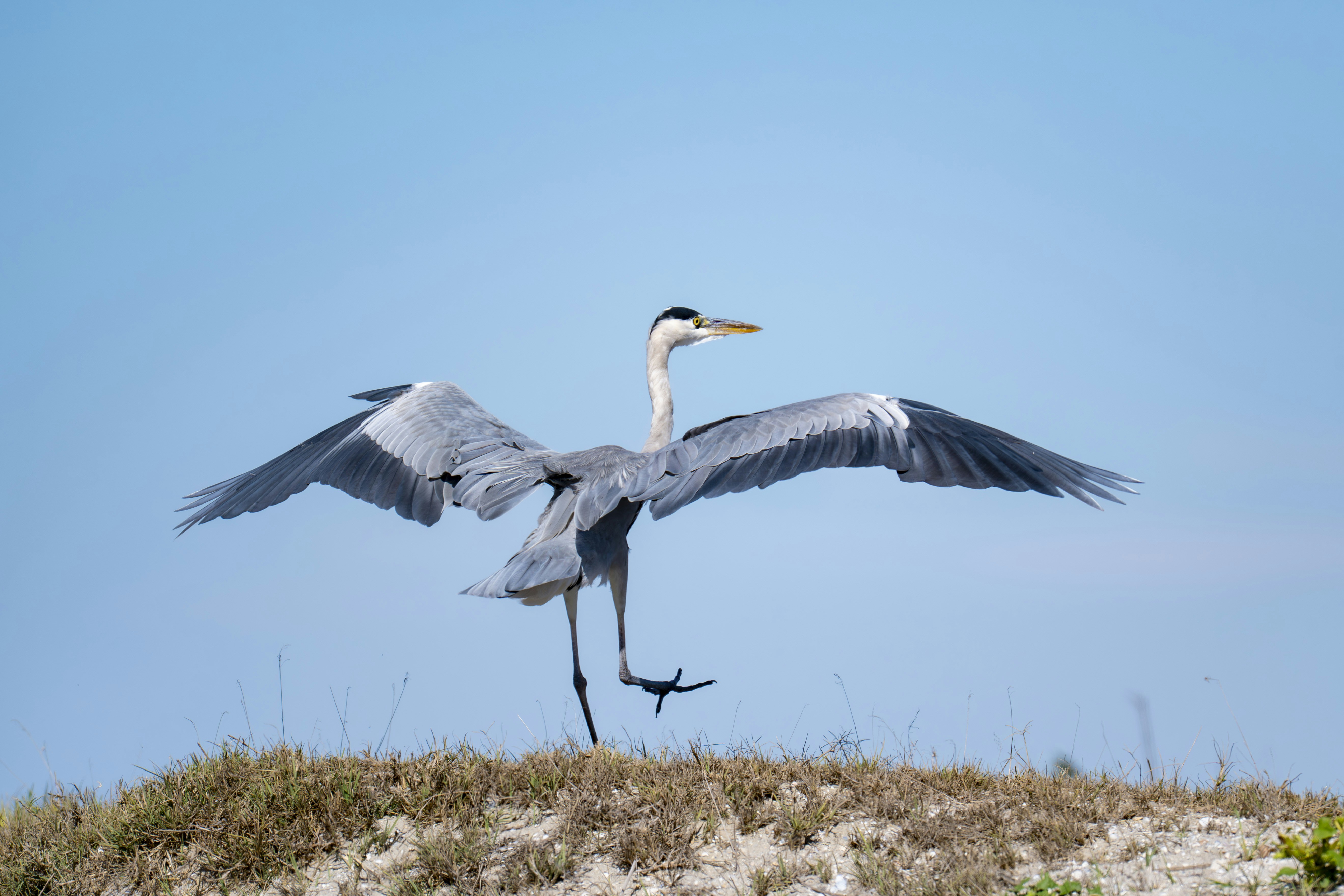 Photo by strinoiumarian