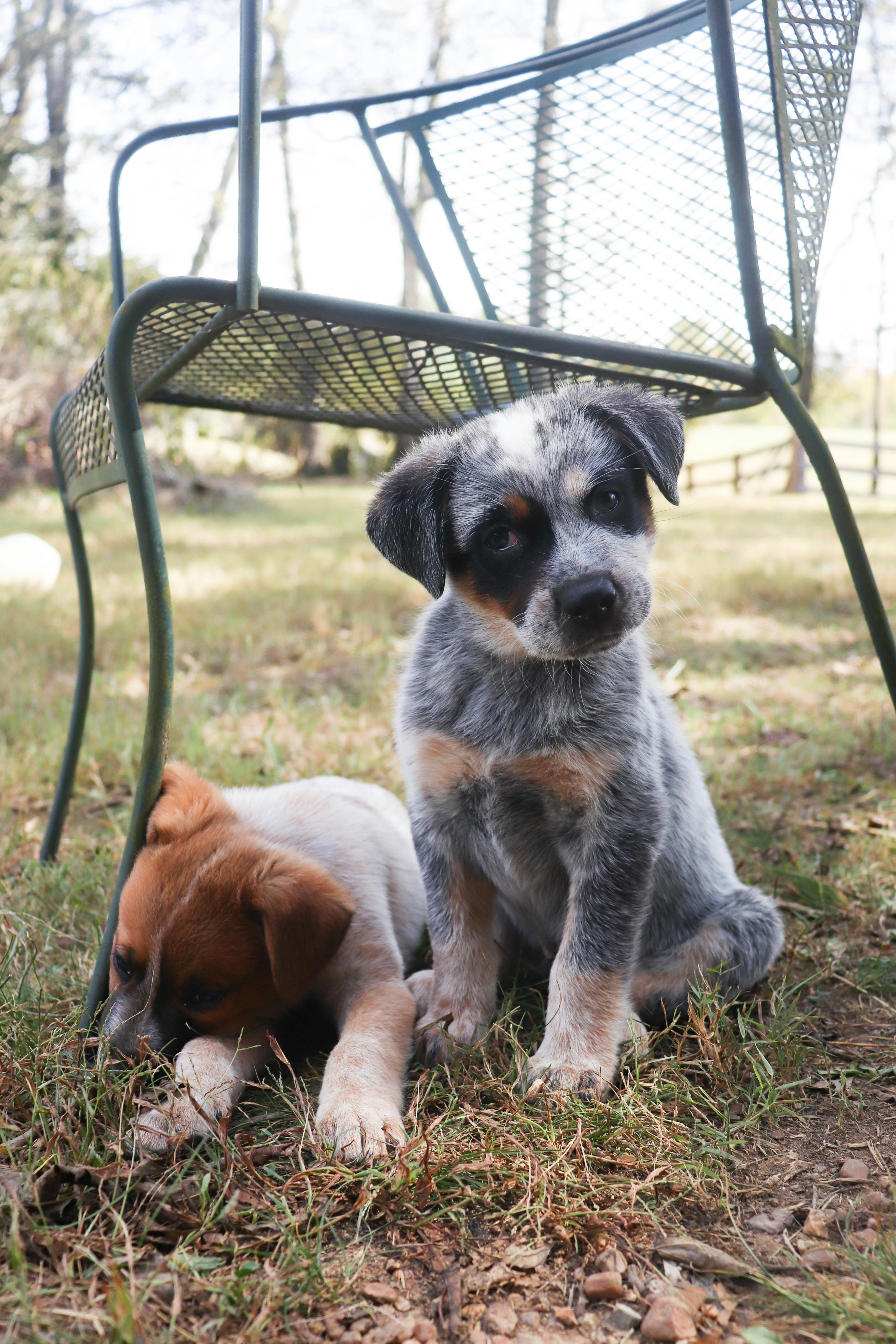 Photo by lroberts067