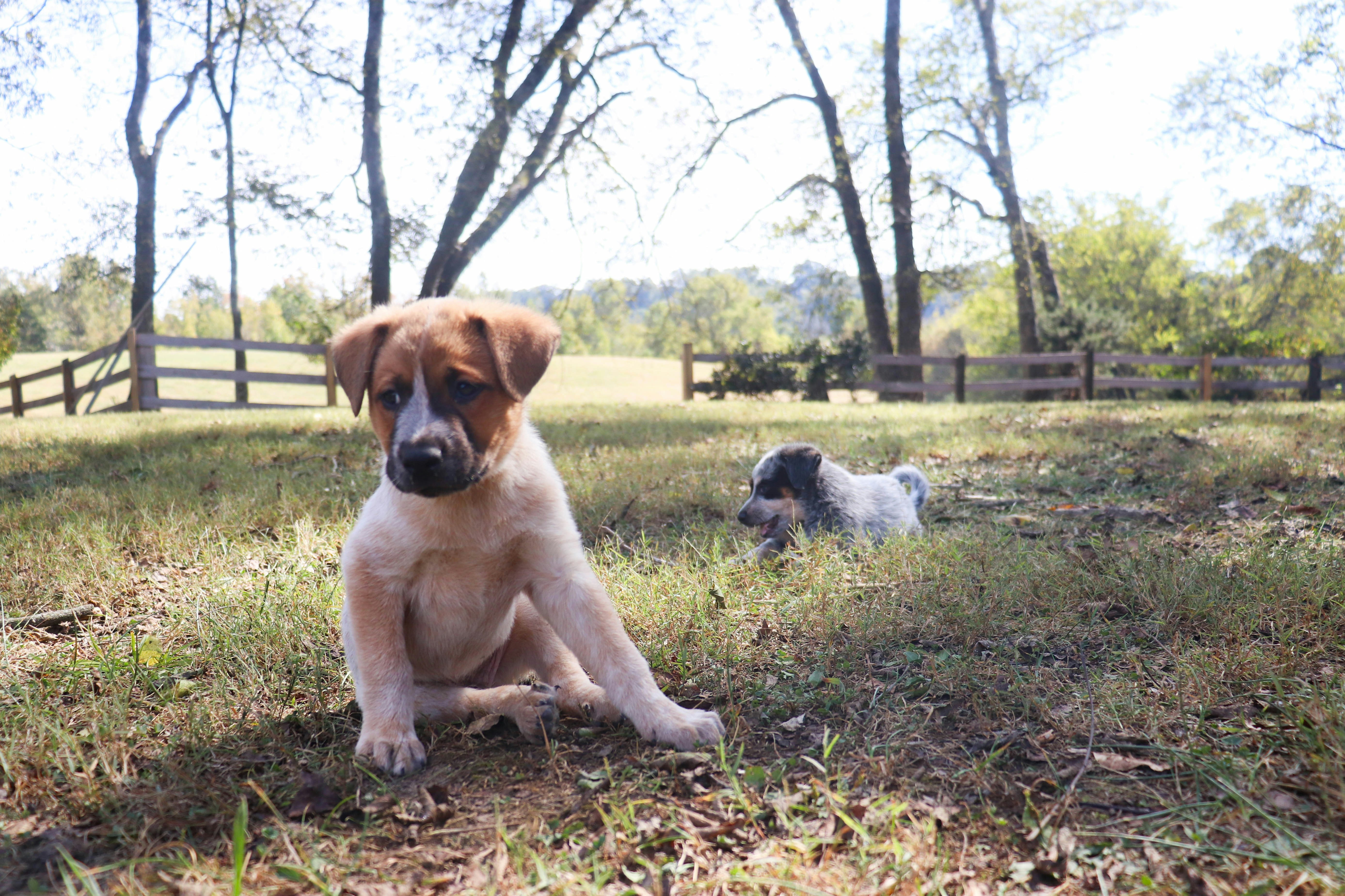 Photo by lroberts067