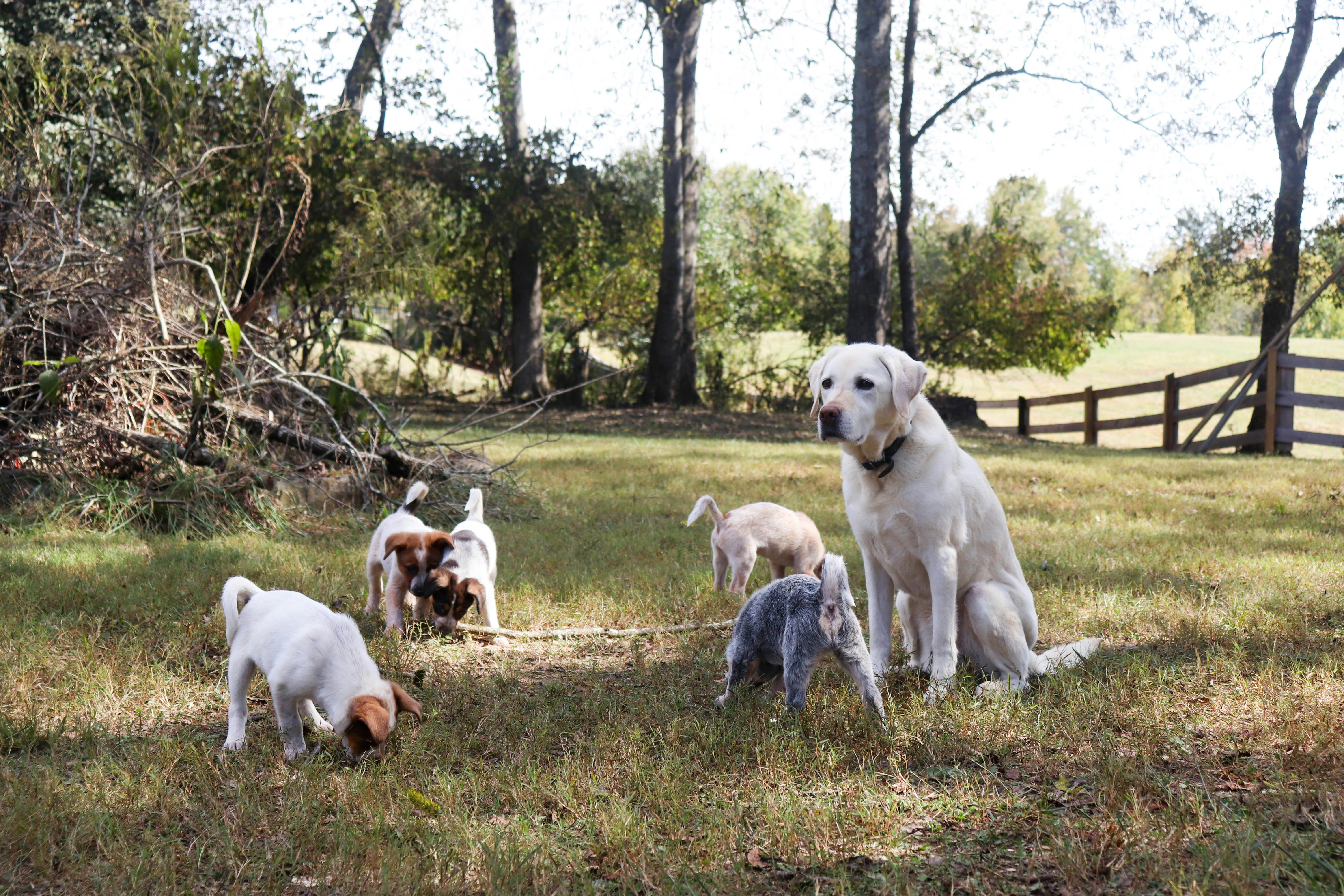 6) Metodologías avanzadas “sin show”: timing, criterio y ambiente
