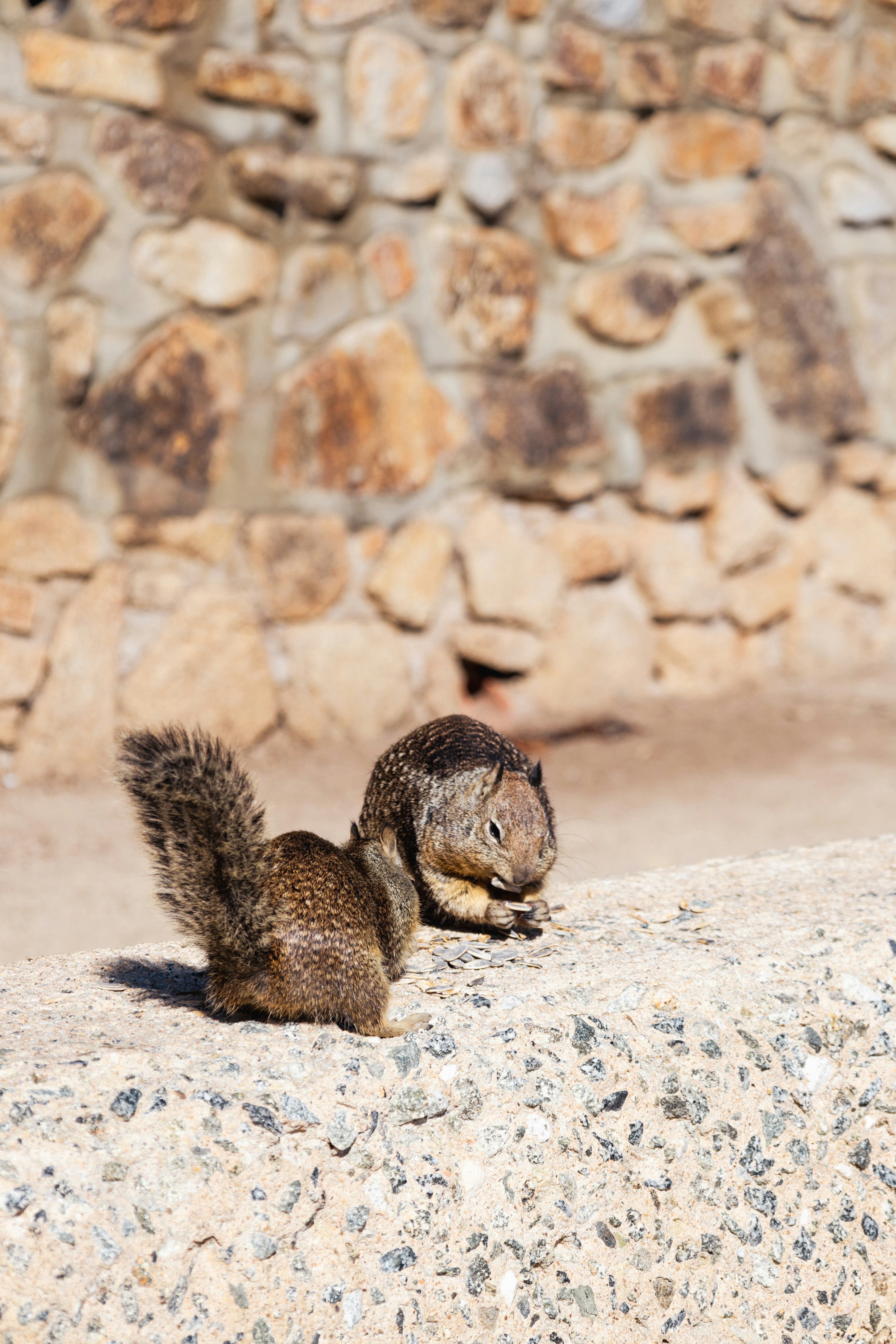 Photo by vincentyuan87