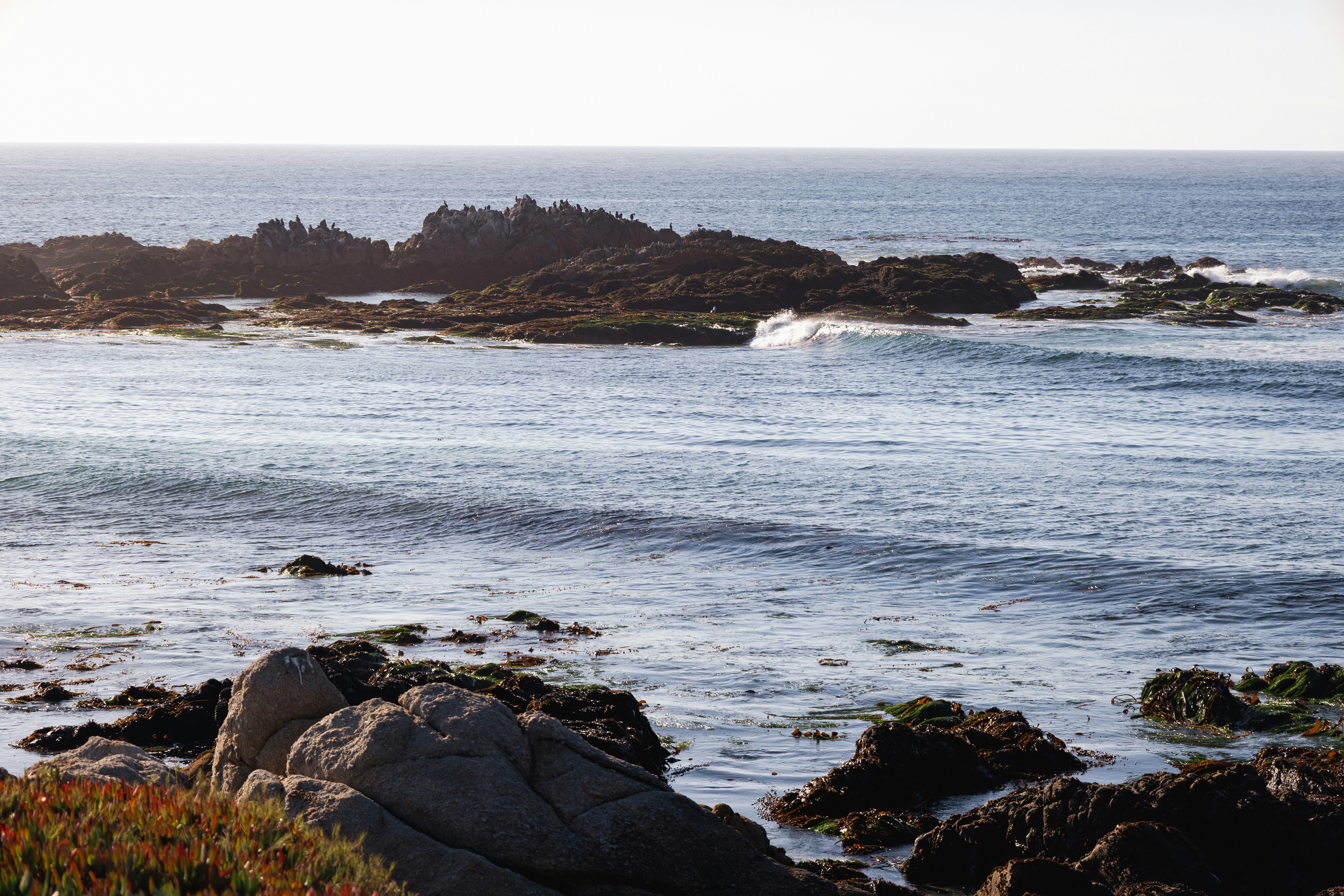 Photo by vincentyuan87