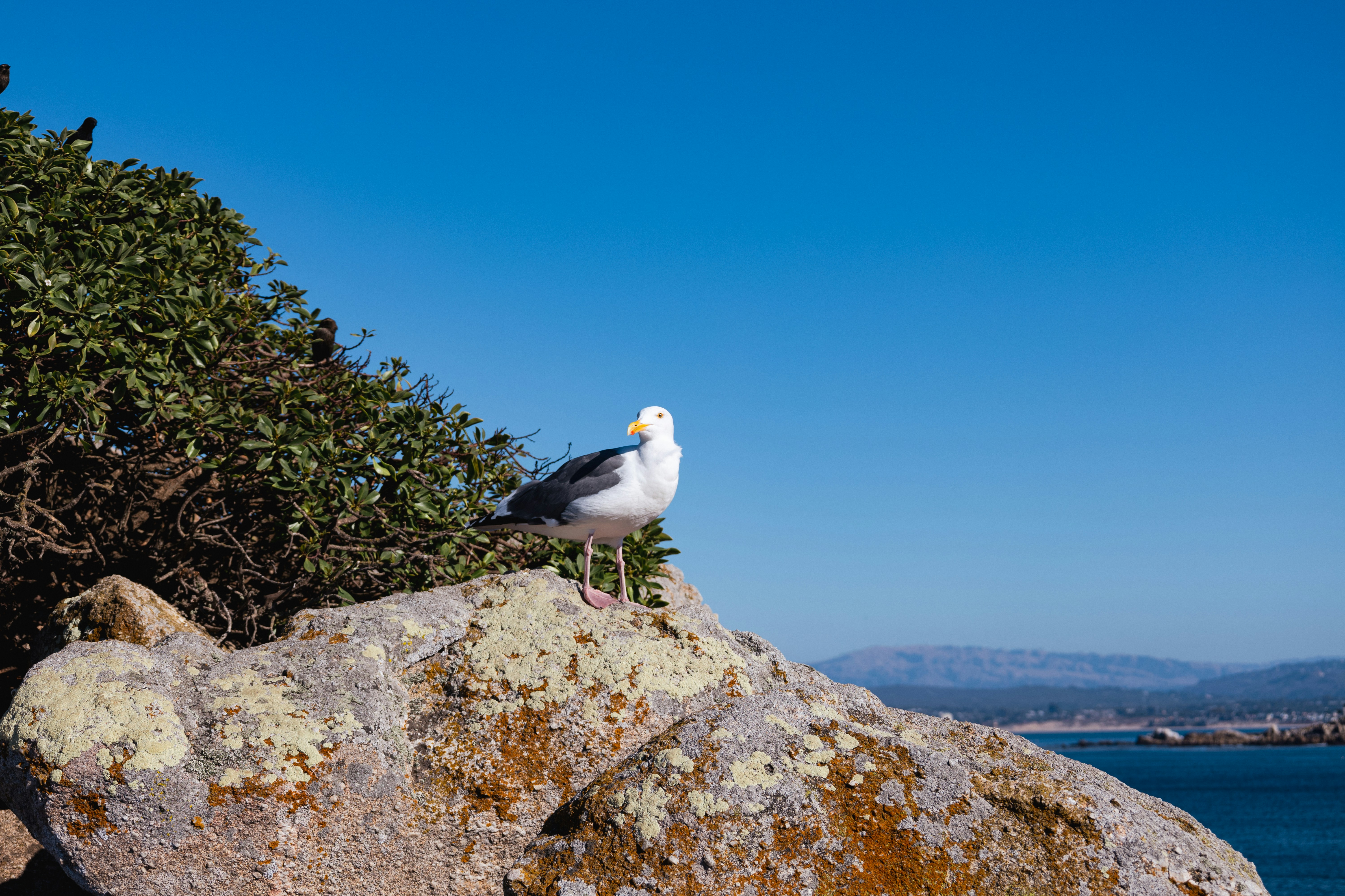 Photo by vincentyuan87