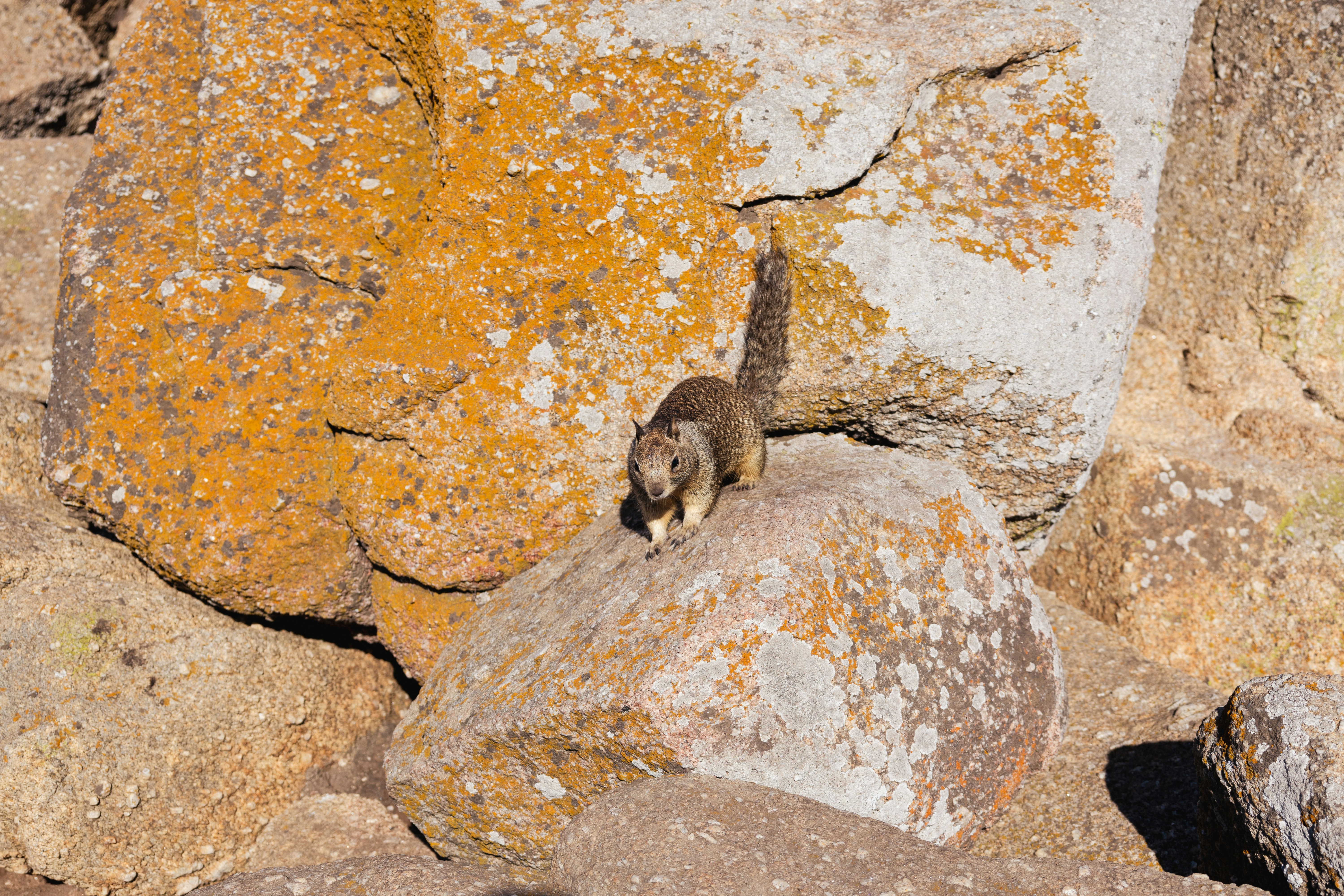 Photo by vincentyuan87