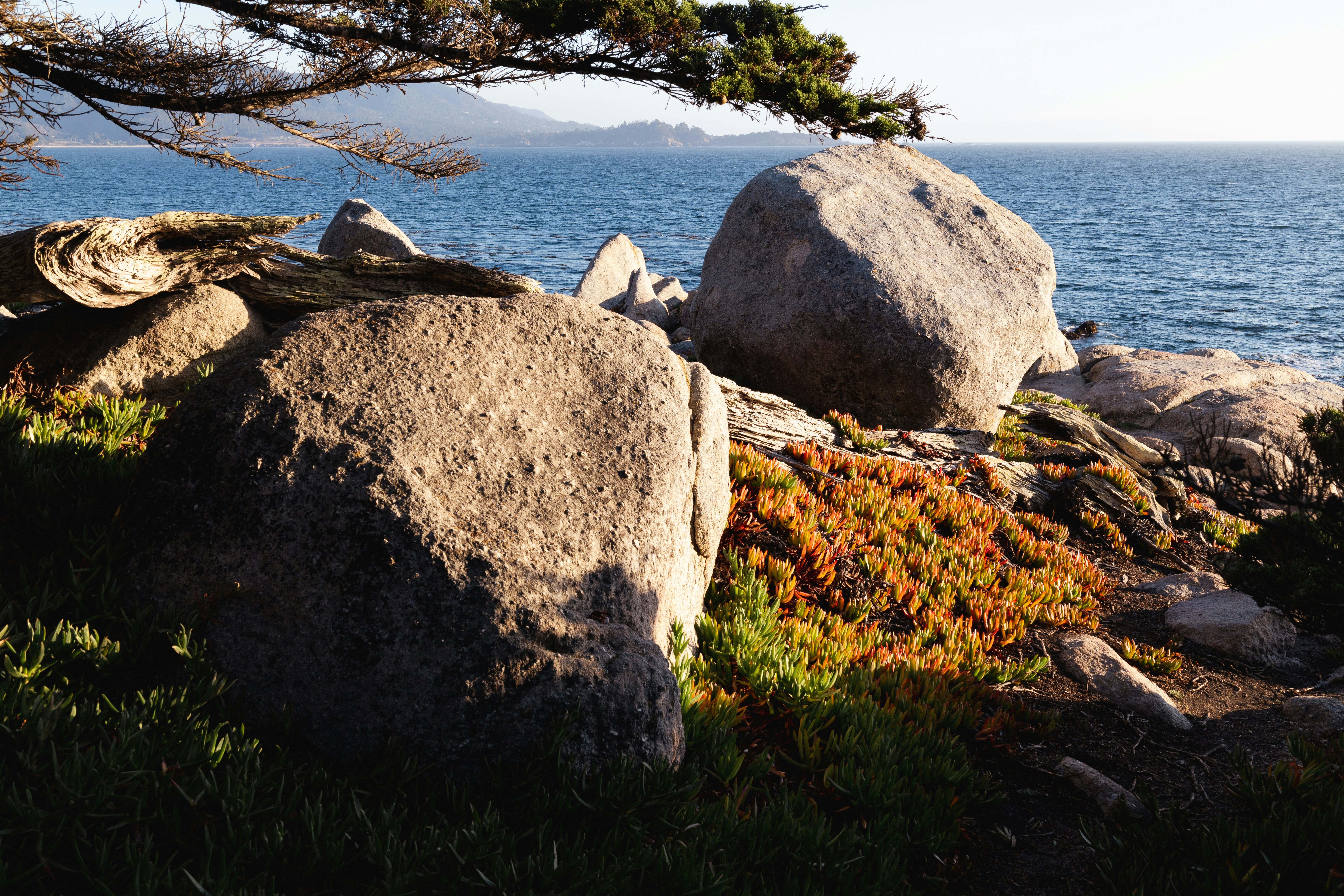 Photo by vincentyuan87