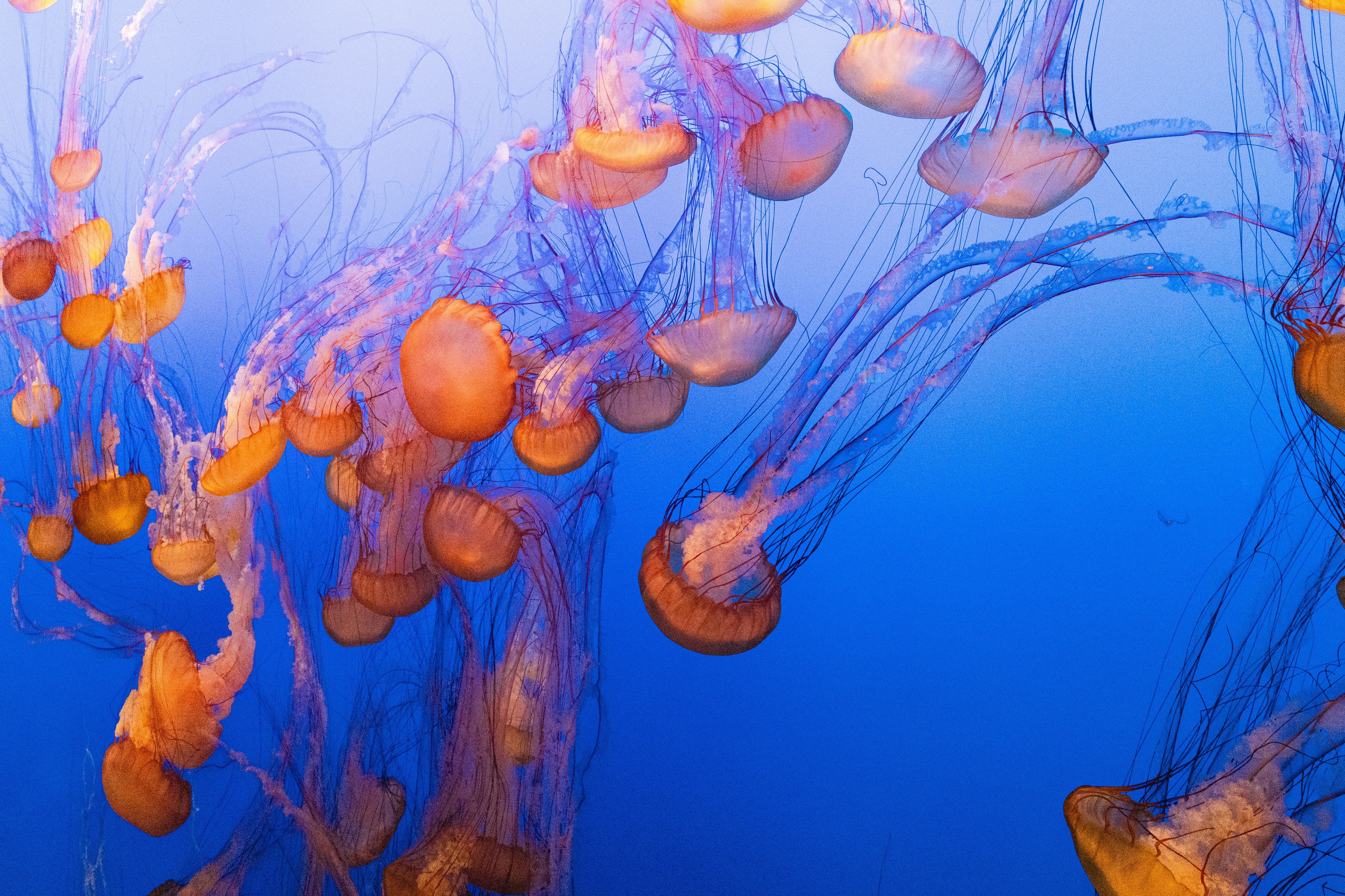 Photo by vincentyuan87