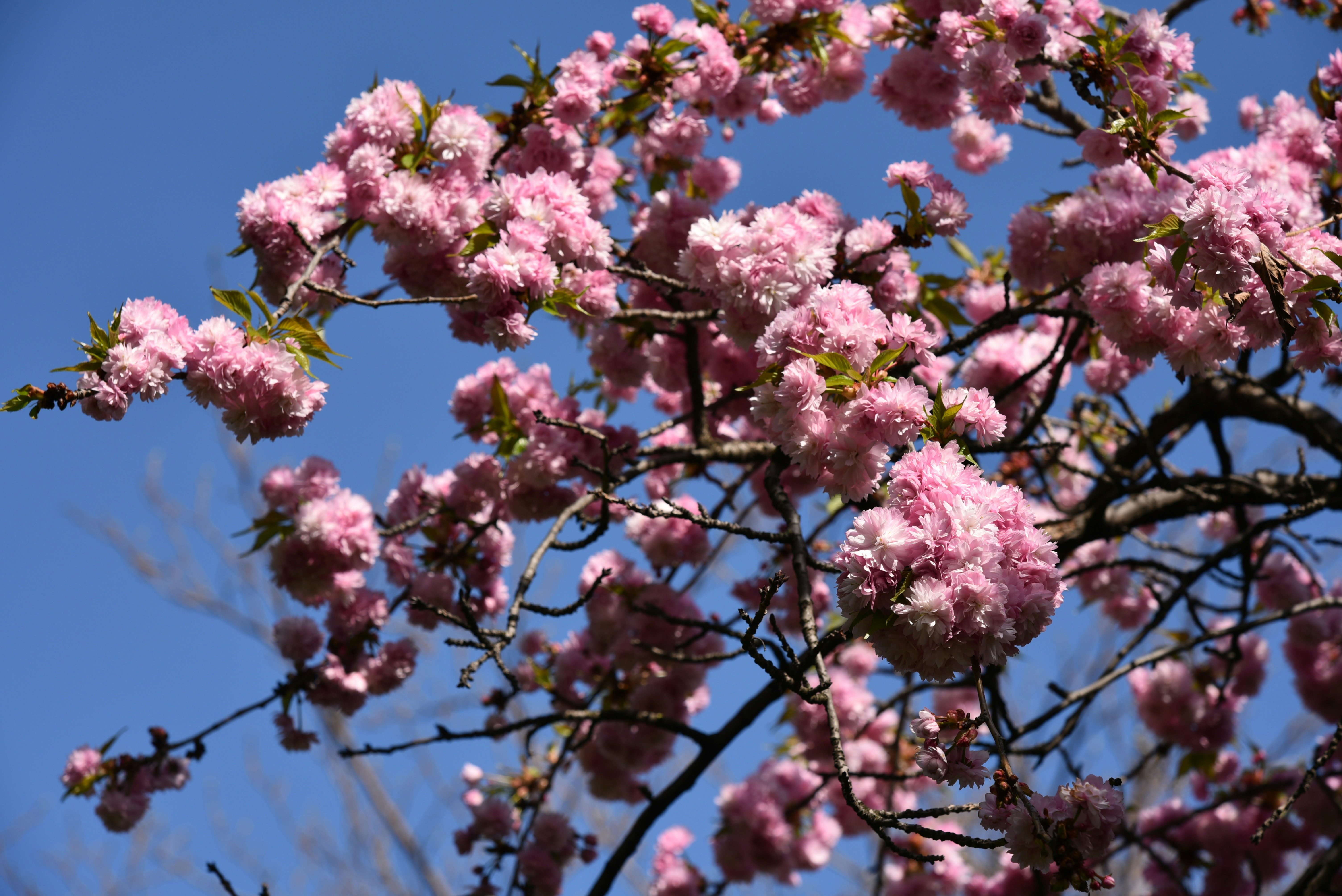 Photo by alex_alexandre