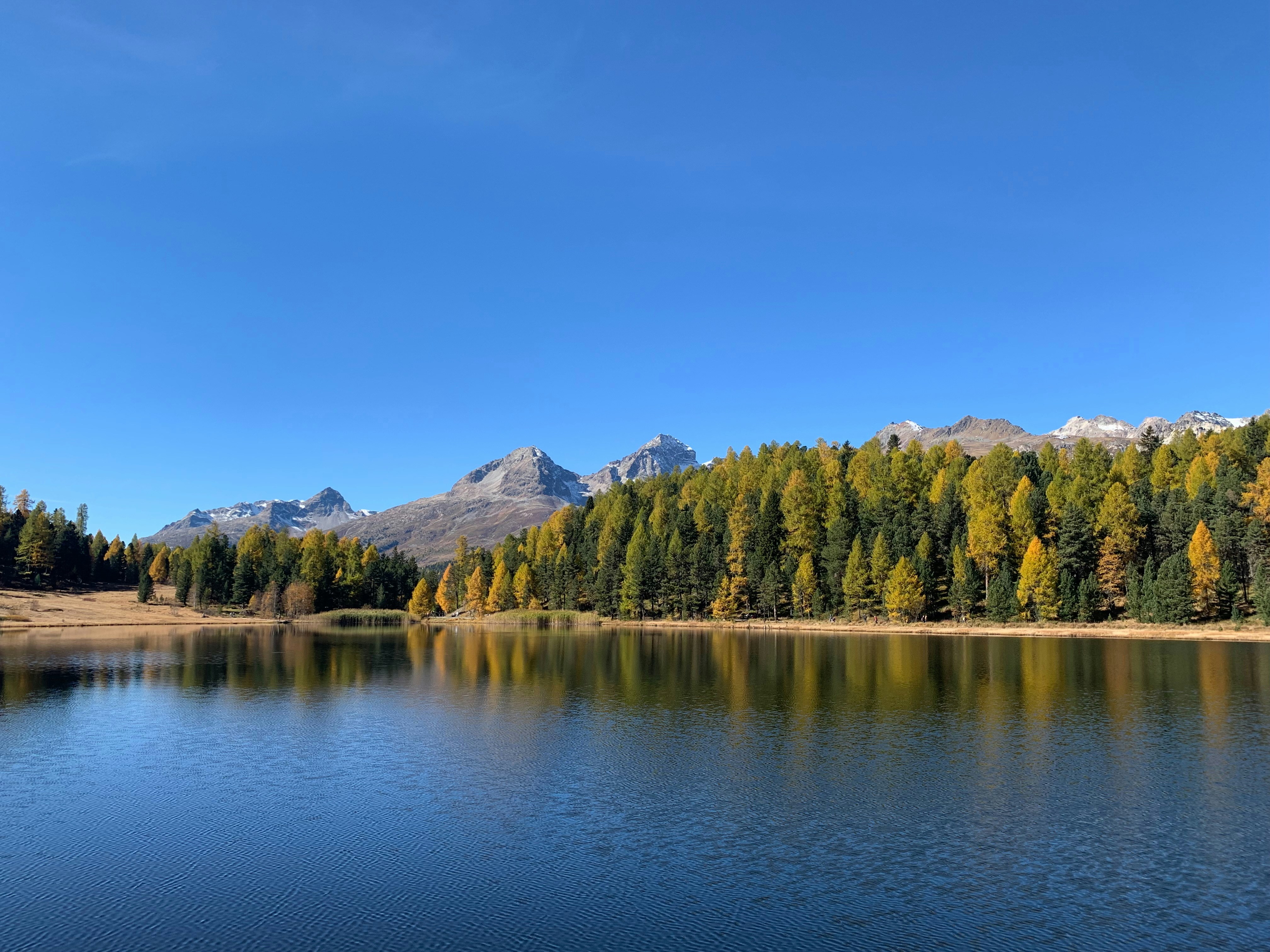 Photo by carmenanita92