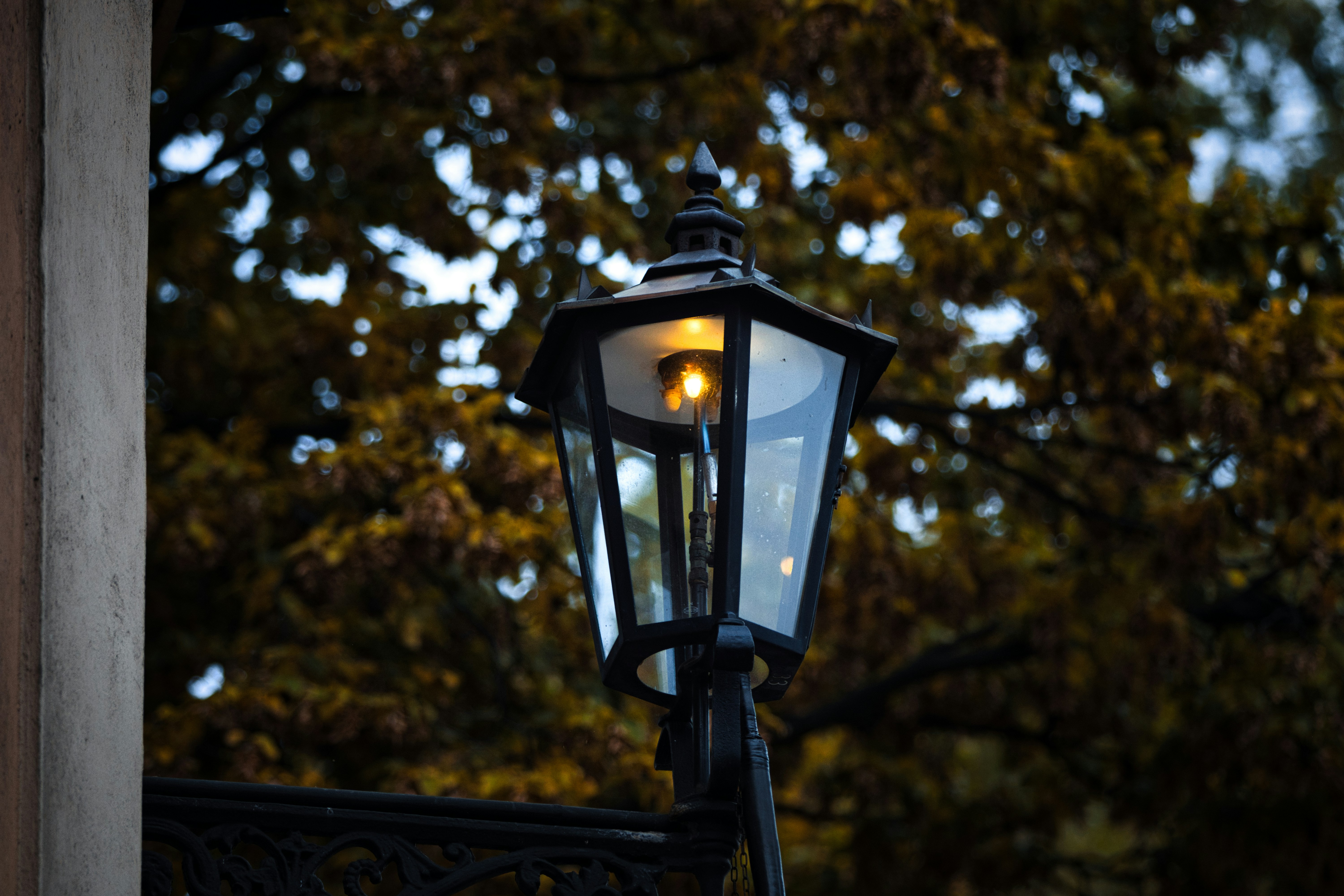 Photo by paws_and_prints