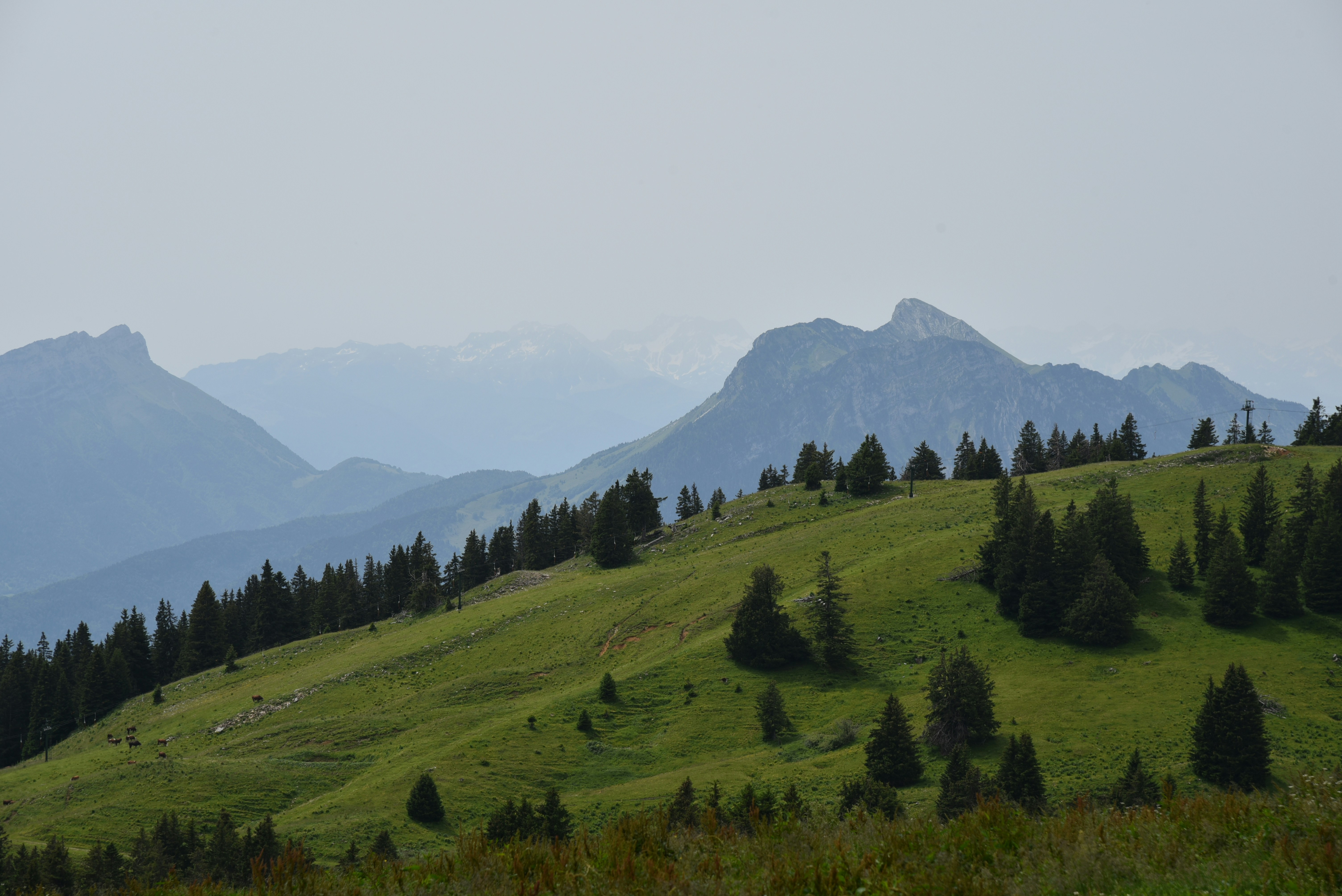 Photo by alex_alexandre