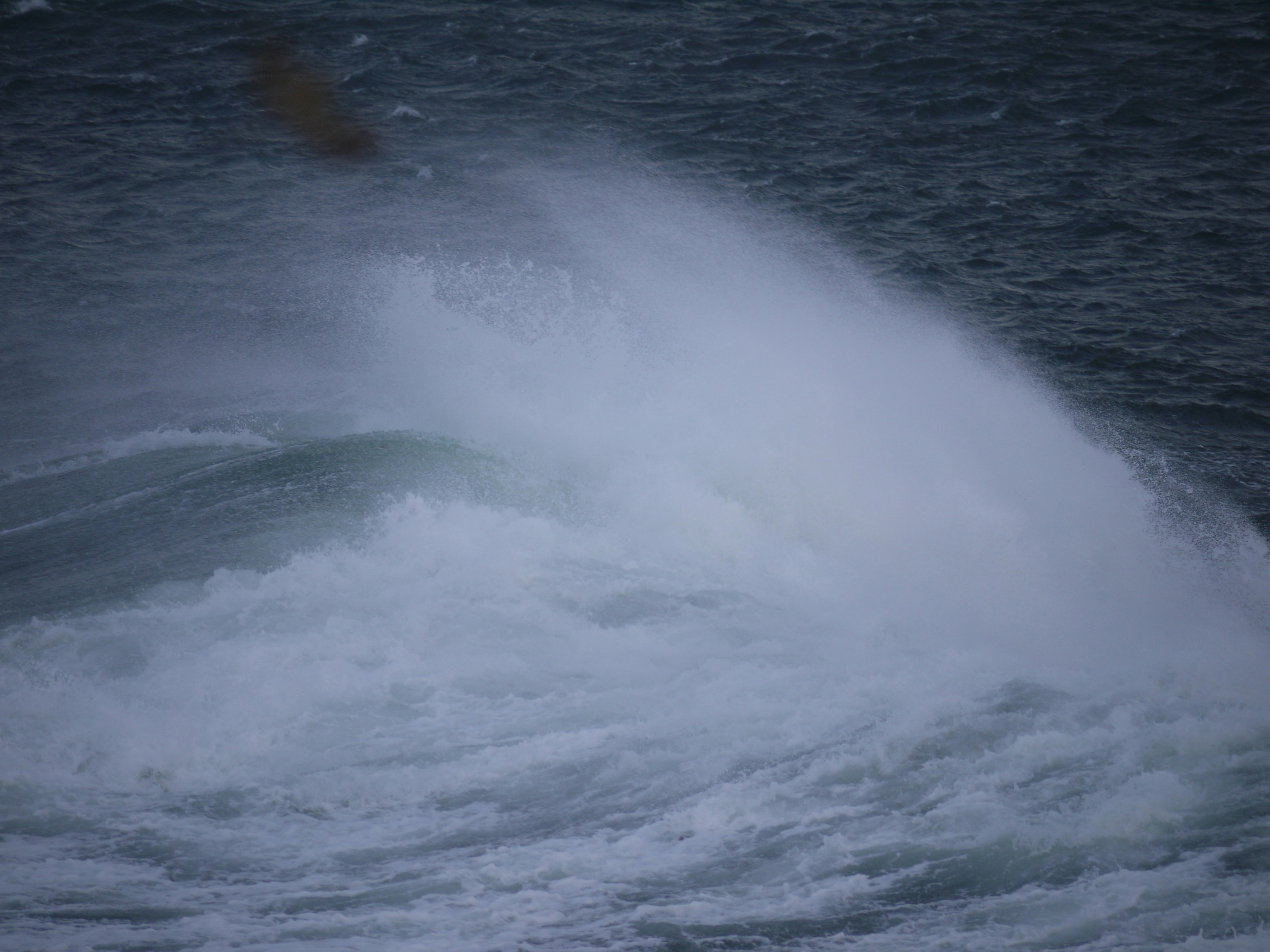 A large wave crashes with spray in the ocean.