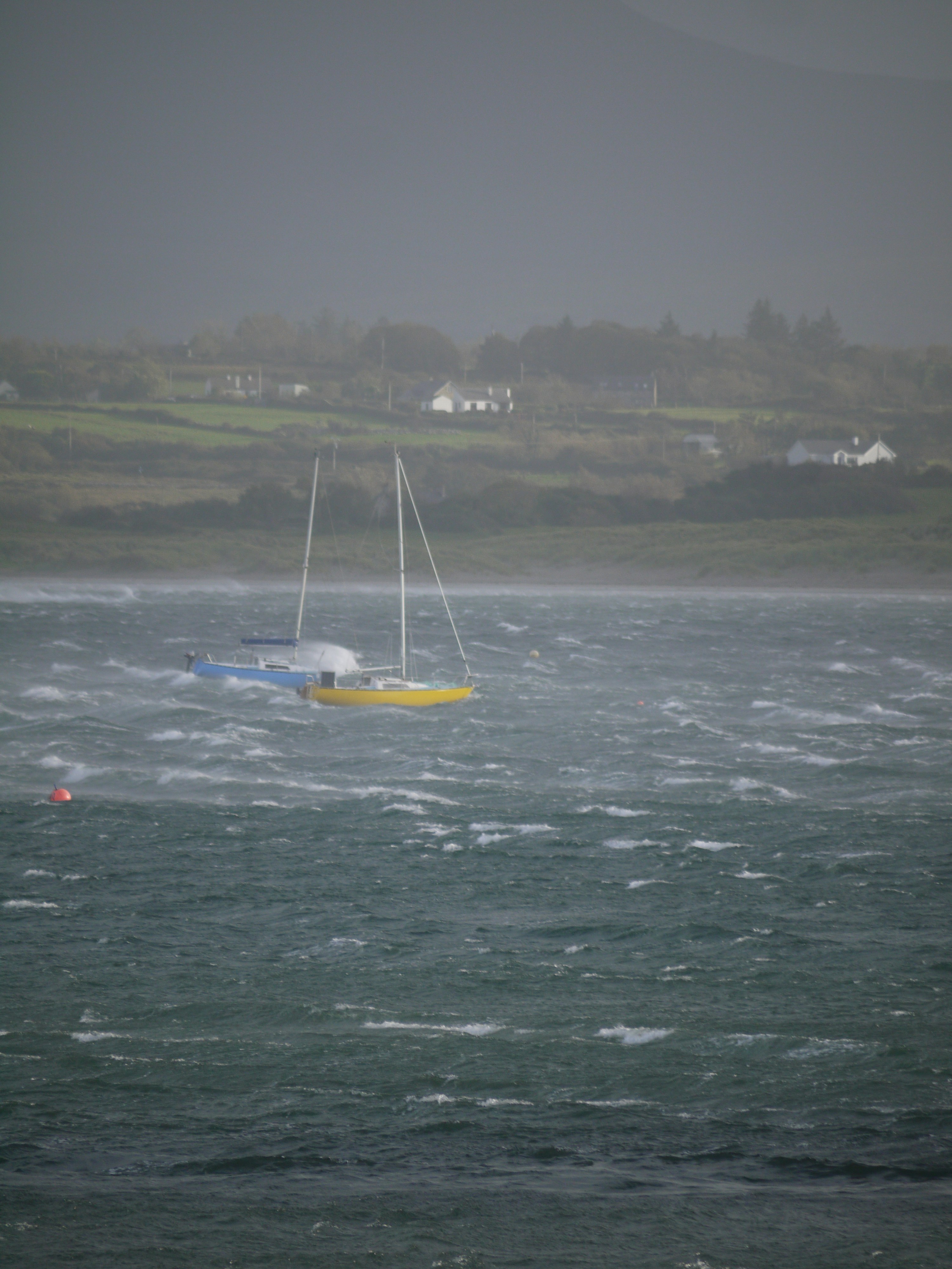 Sailboat on choppy water with distant houses.