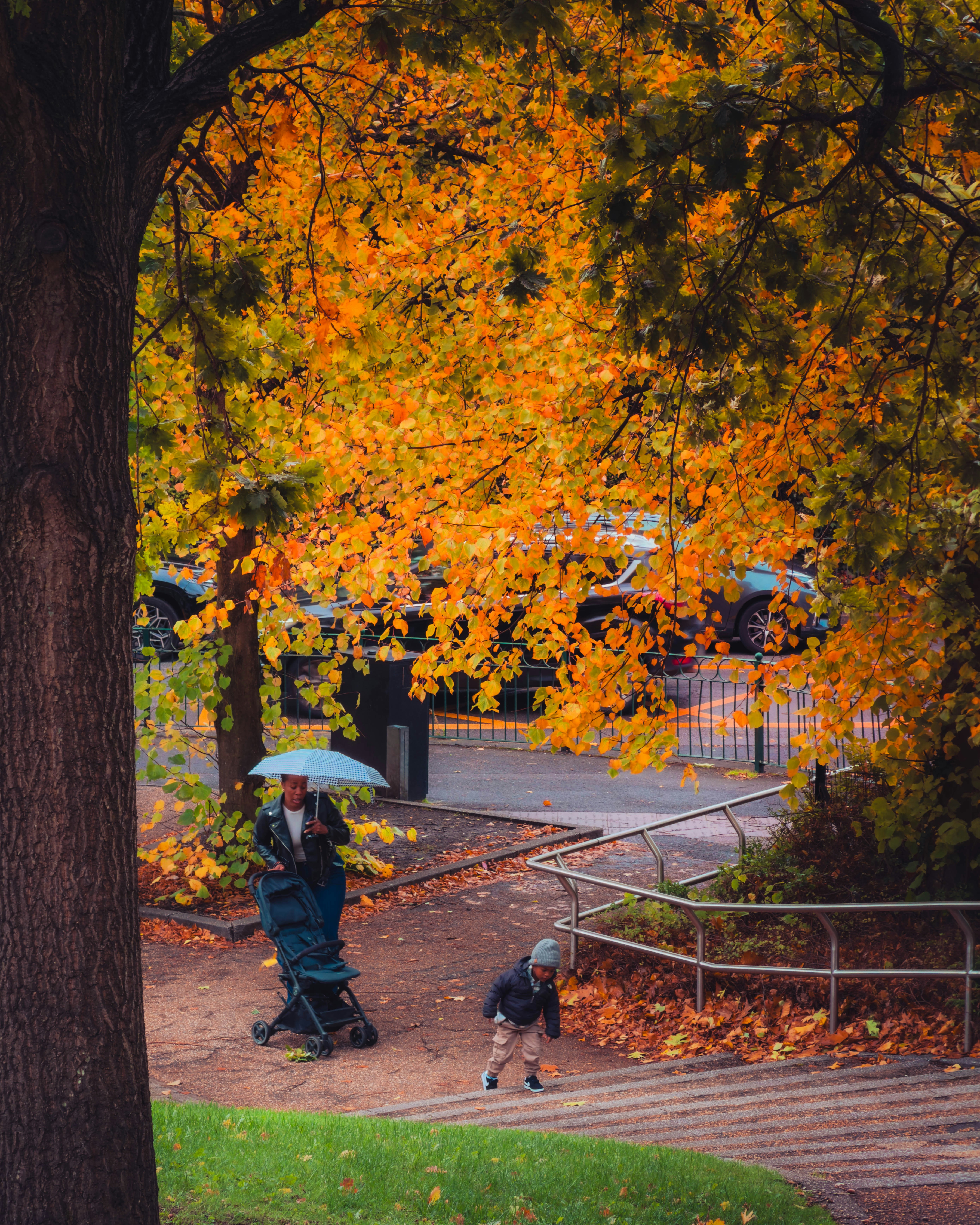 Photo by photos_from_anup