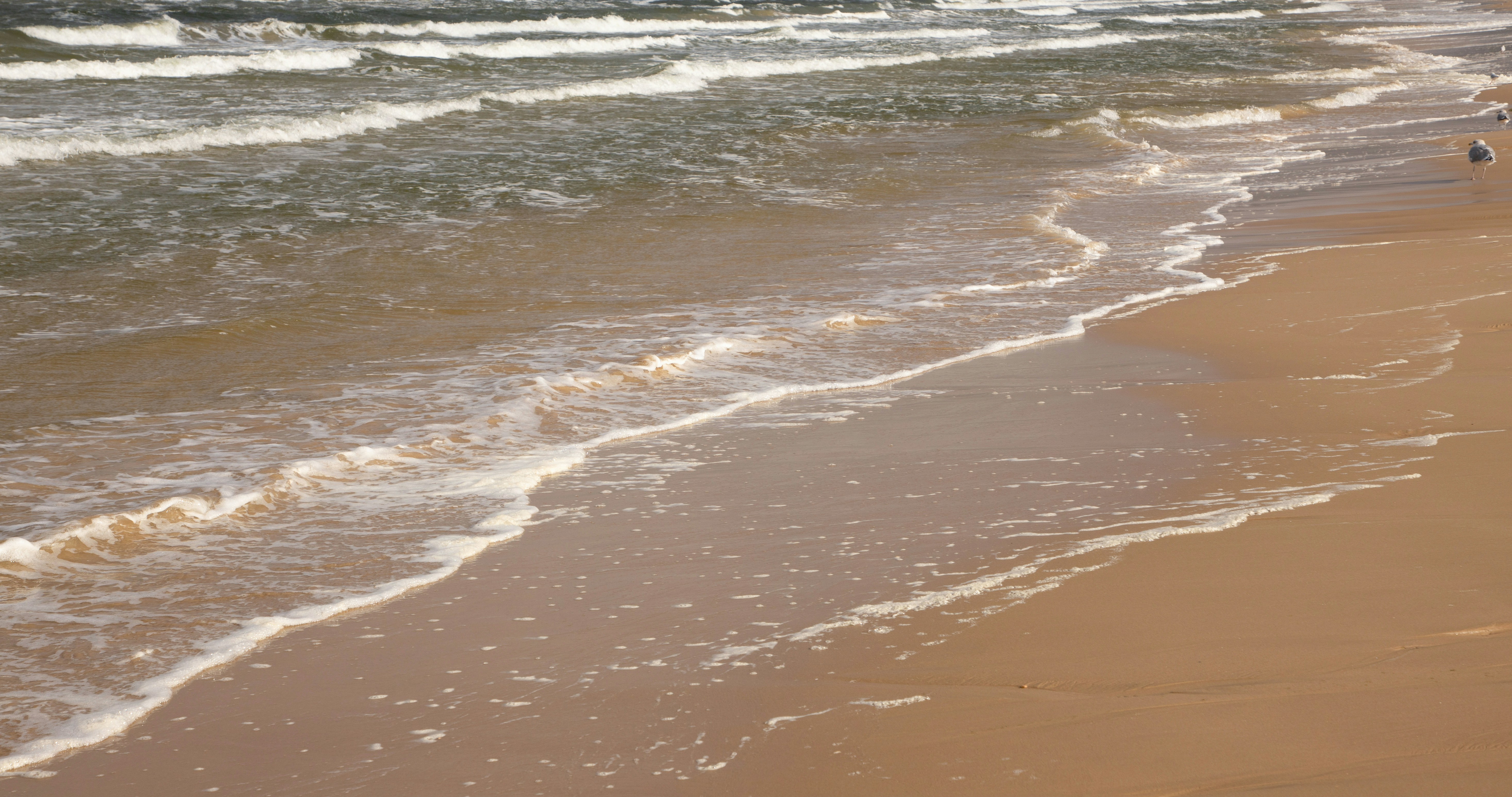 Waves gently lapping on a sandy beach