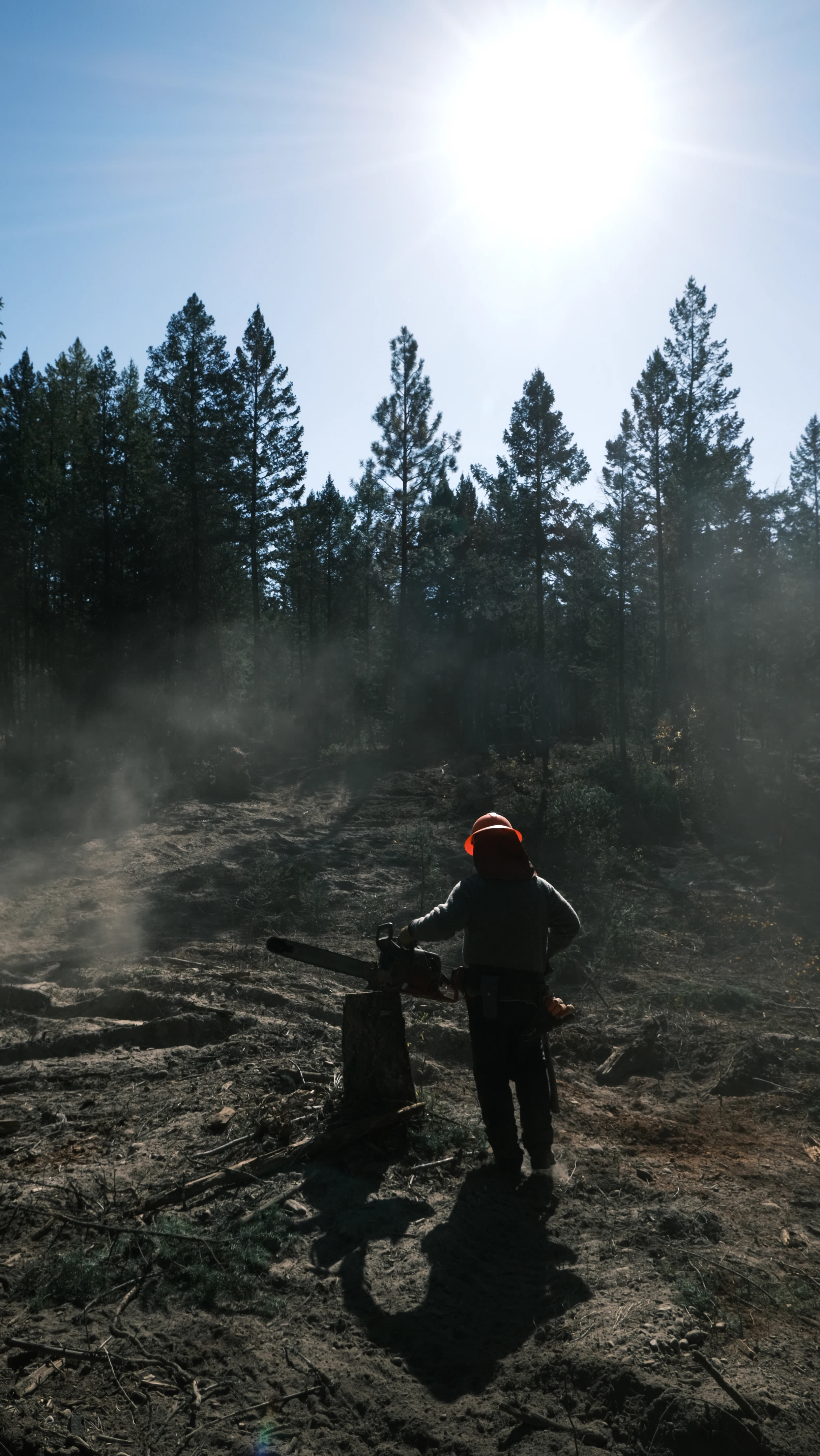 Skogsarbetare med motorsåg i dimmig skog vid soluppgång