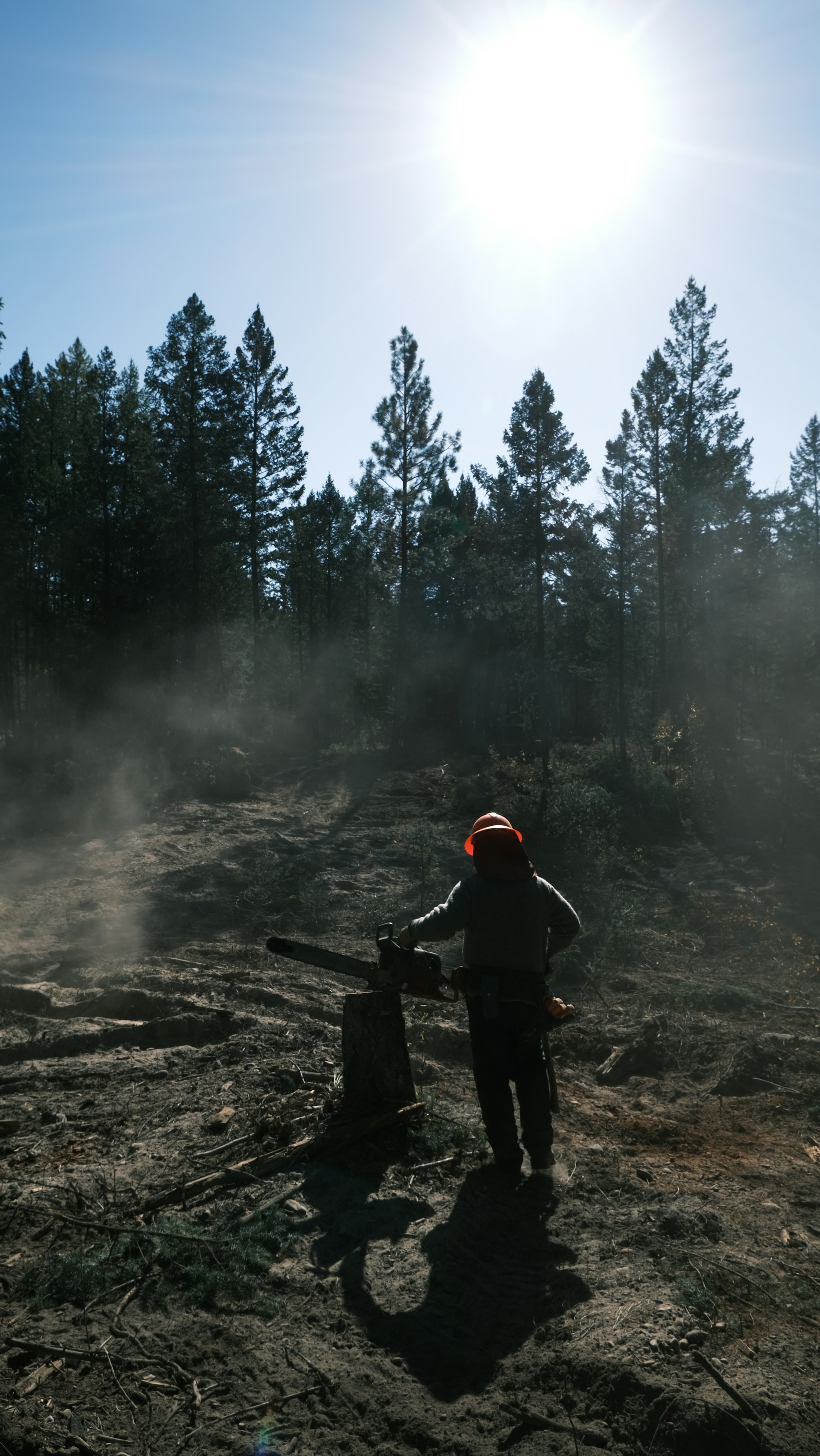 Lumberjack with chainsaw in a foggy forest at sunrise.