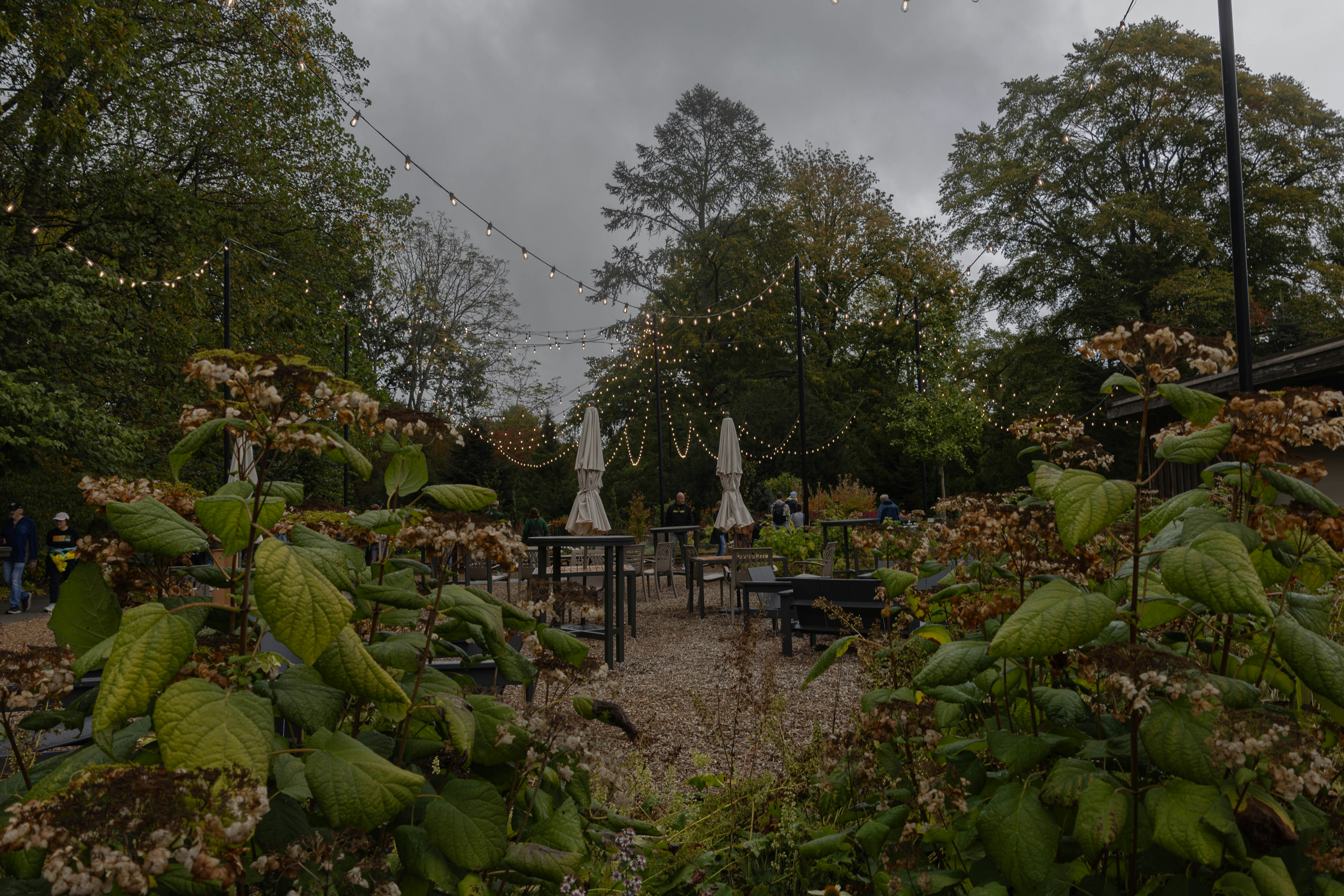 Outdoor seating with string lights