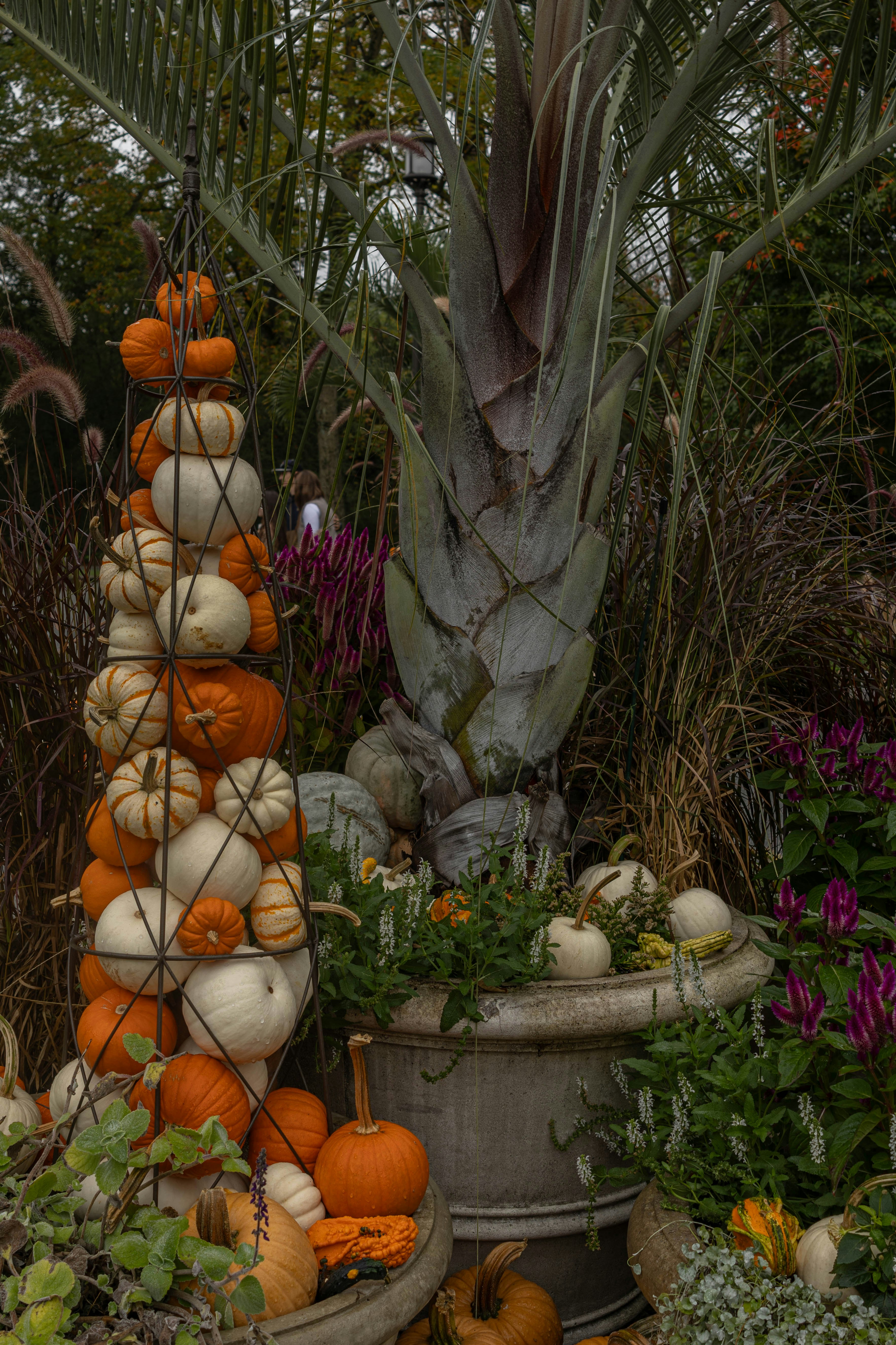 カボチャとひょうたんとヤシの木の段状ディスプレイ。