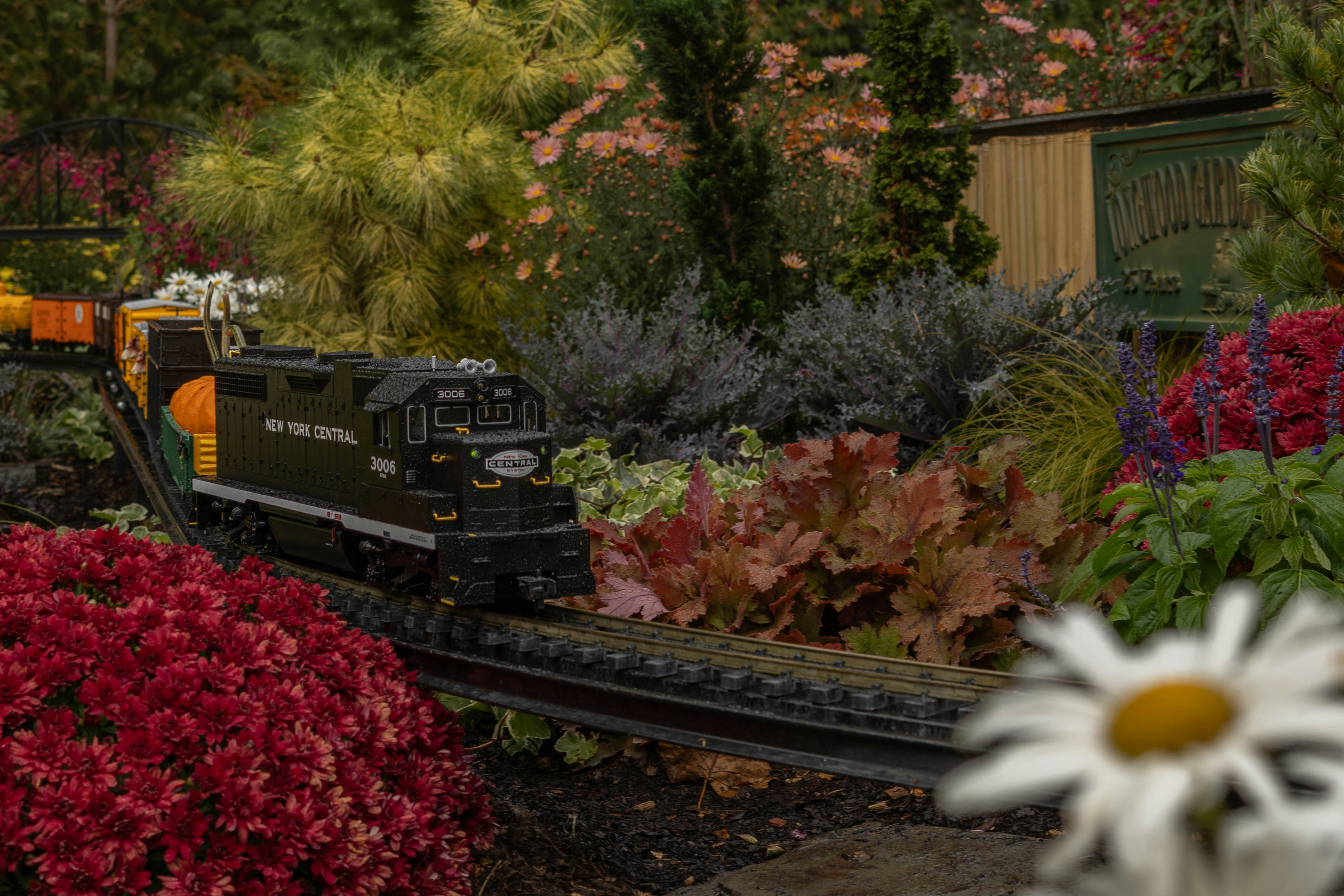 庭園を走る黒い鉄道模型