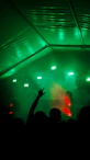 Crowd with raised hands at a concert with green lights